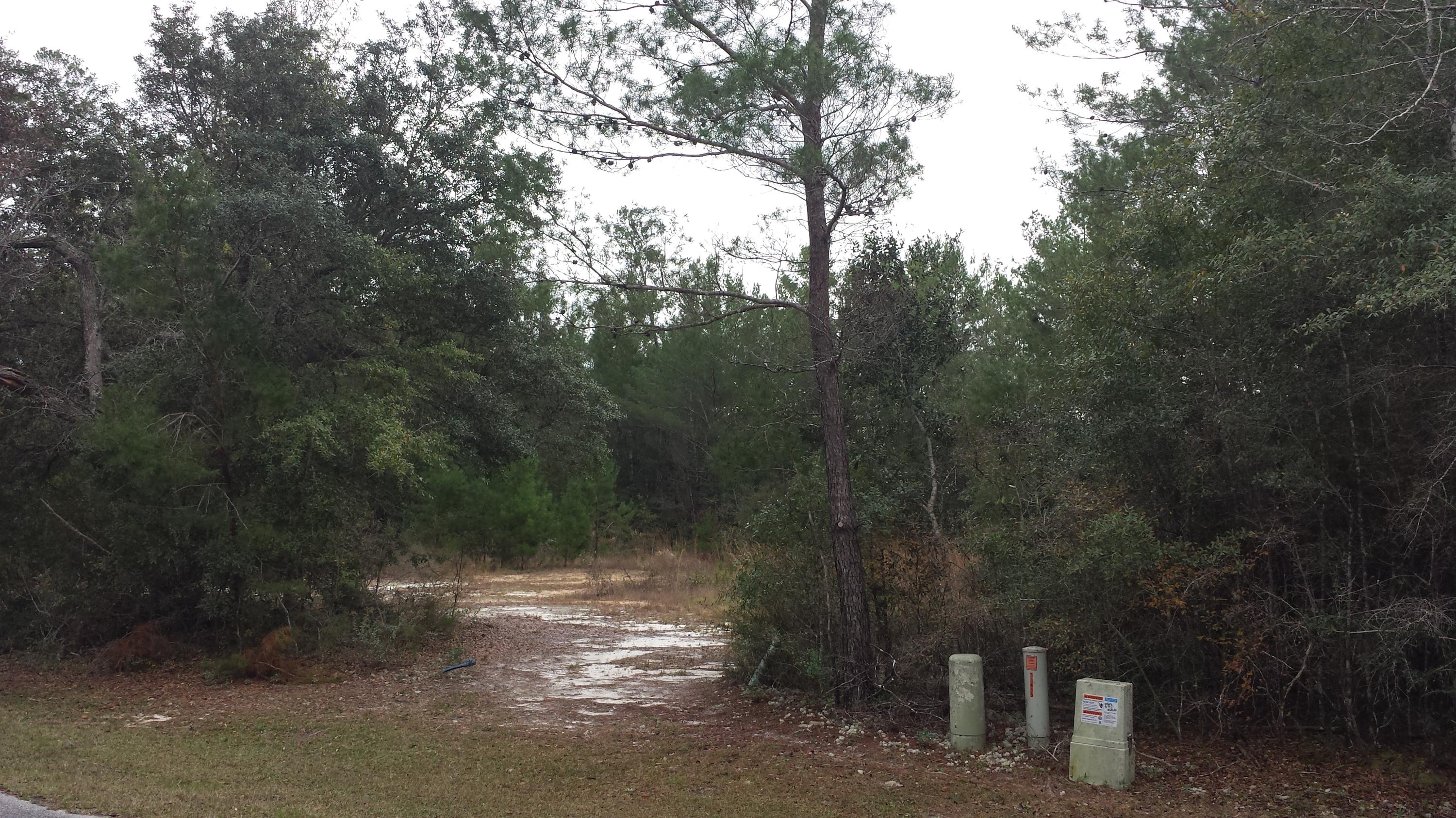 Magnolia Landing - Land