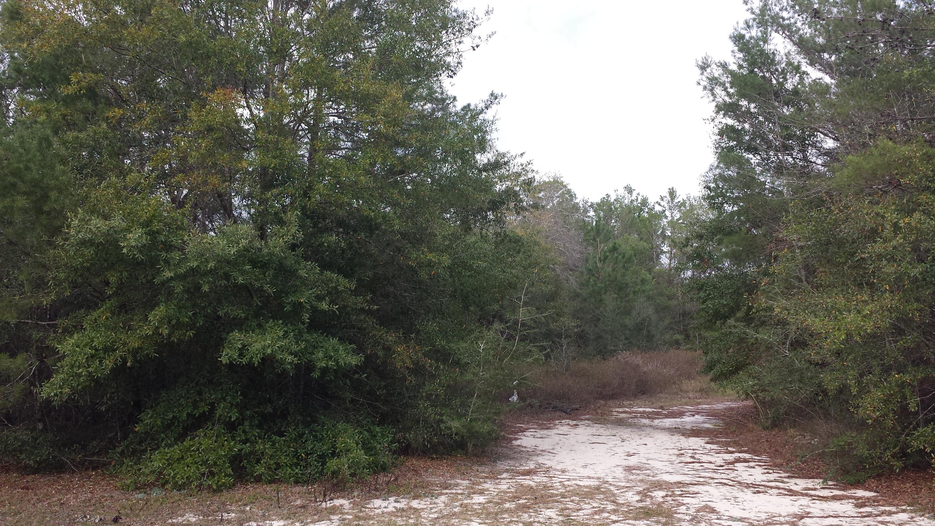 Magnolia Landing - Land