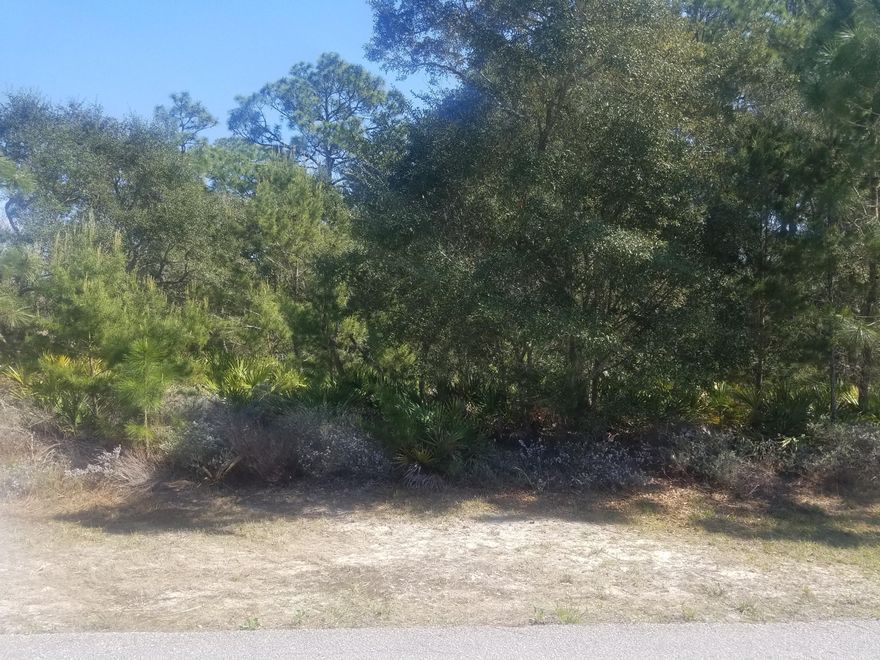 Located in the heart of Navarre, perfect lot to build your dream home. Within walking distance to the sound.