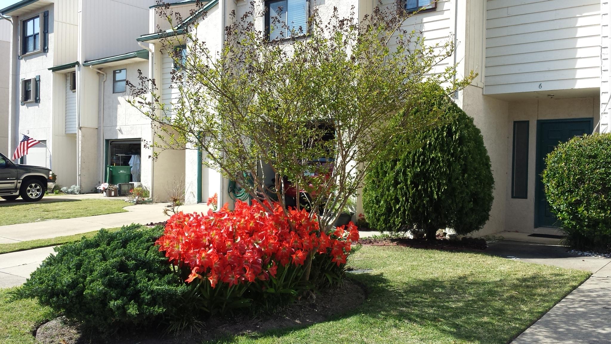 BAYOU PINES T/H - Residential