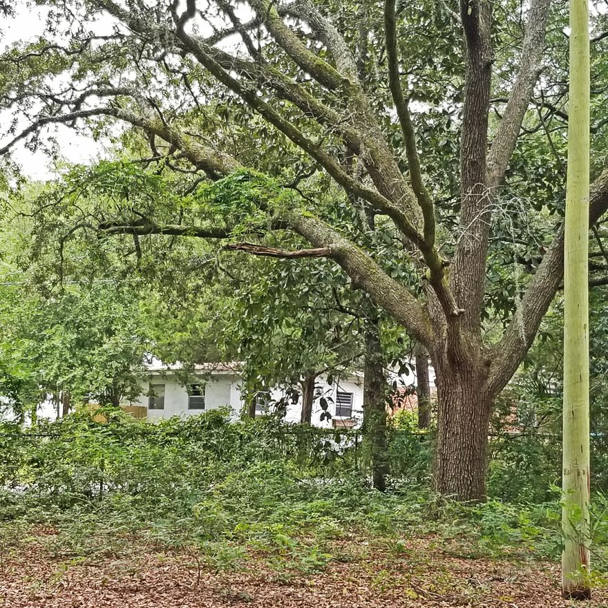 OPPORTUNITY!  Seldom found in Niceville!  4+ contiguous lots with beautiful trees in the heart of Niceville.  Walking distance to Boggy Bayou, middle and high schools, restaurants, and churches.  Convenient commute to Eglin, too.Lots 18 - 20 each measure 50 ' x 100'.  Lot 21 (also 50' x100') and part of Lot 22 can be used together if desired. Lot 22 measures 25x100x30x98 approximately.  Please see survey.  Other homesites on this block have been widened to 75'x100'. Lots of new construction in this central part of Niceville.  Recent resale on 32nd Street listed at $320K.  Great investment opportunity!