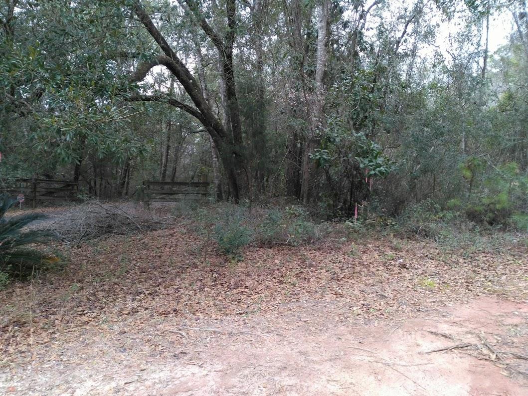 This one acre wooded home site includes a 20 foot wide easement that connects to Old River Road and is close to both Baker and Crestview. You will enjoy the large mature trees and its privacy. Paved road and utilities available. Deed restrictions apply. No mobile/manufactured homes.