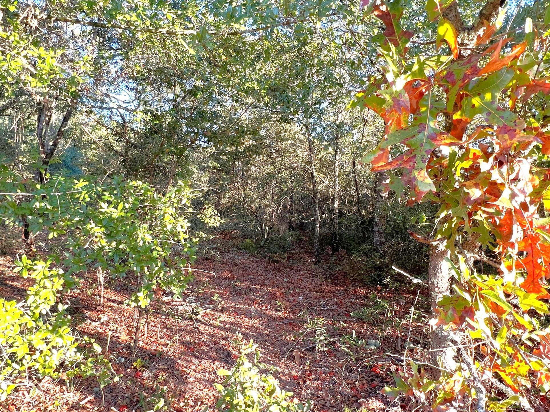 Juniper Lake Estate Unit 6 Oakwood Hills - Land