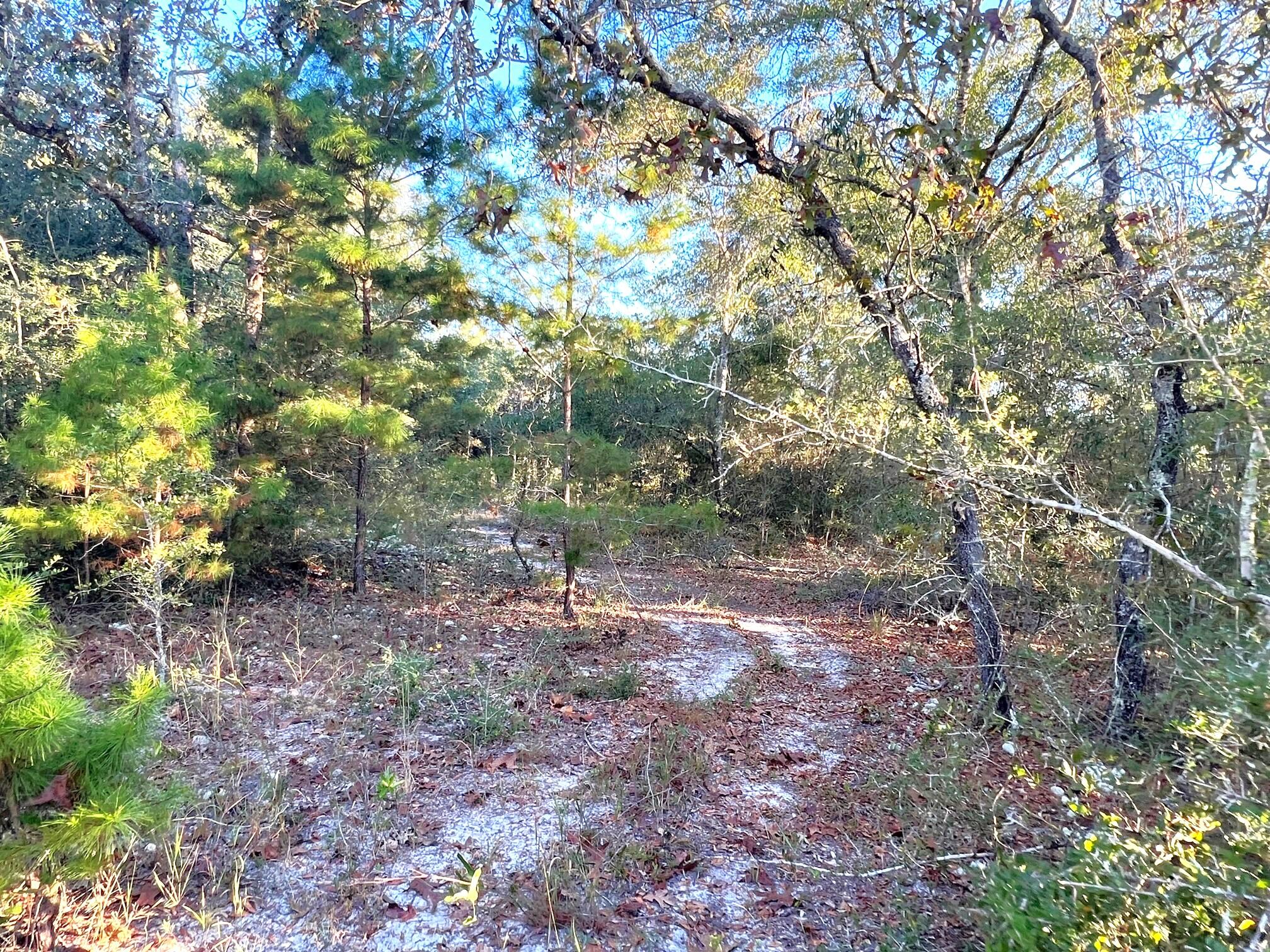 Juniper Lake Estate Unit 6 Oakwood Hills - Land