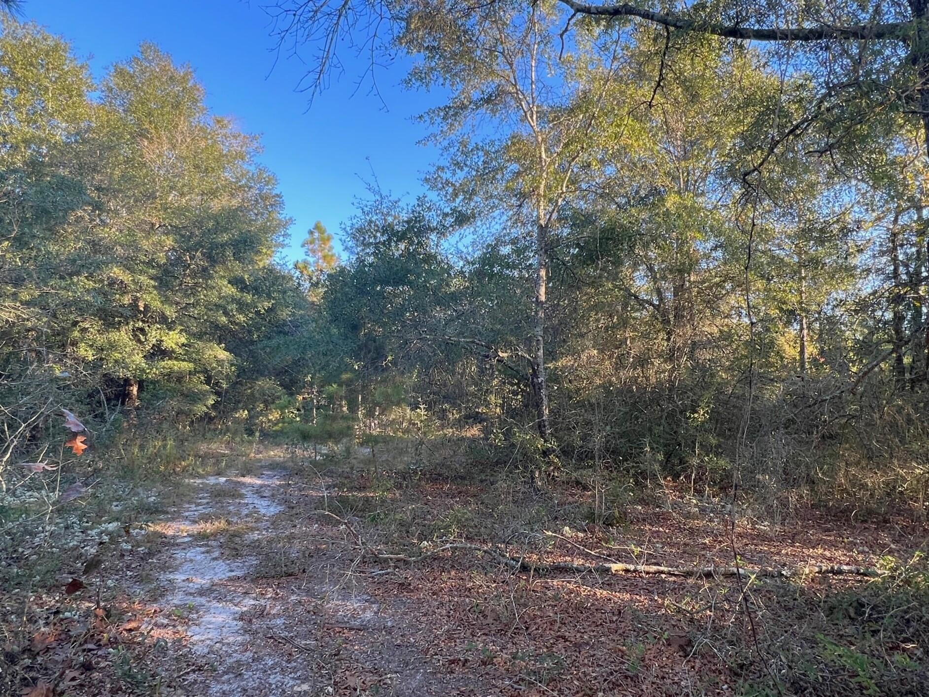 Juniper Lake Estate Unit 6 Oakwood Hills - Land