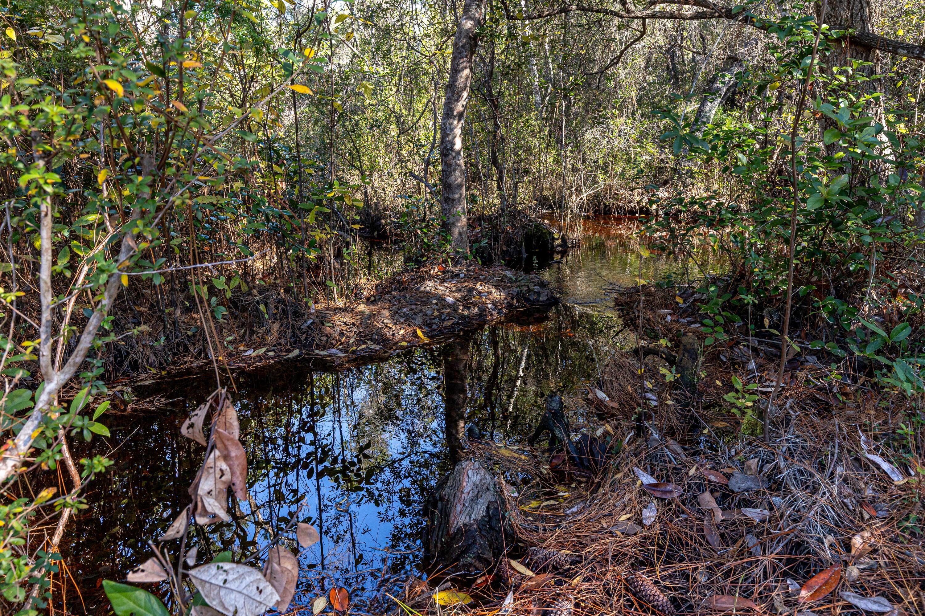 GULF SHORE MANOR - Residential