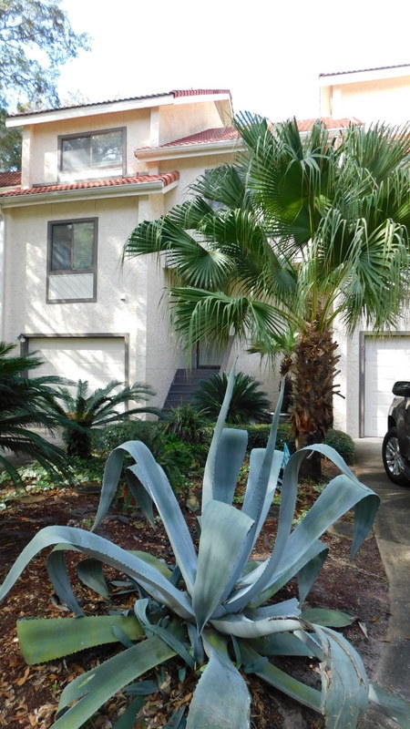 MARINA COVE VILLAGE PH 3 - Residential