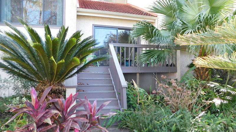 MARINA COVE VILLAGE PH 3 - Residential