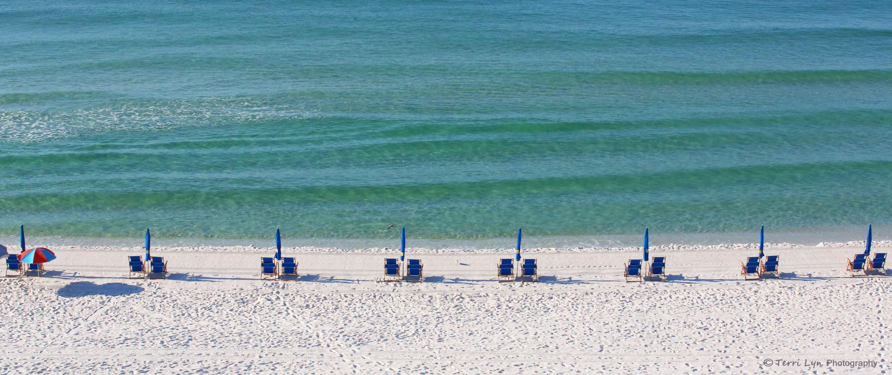 ISLAND PRINCESS - Residential