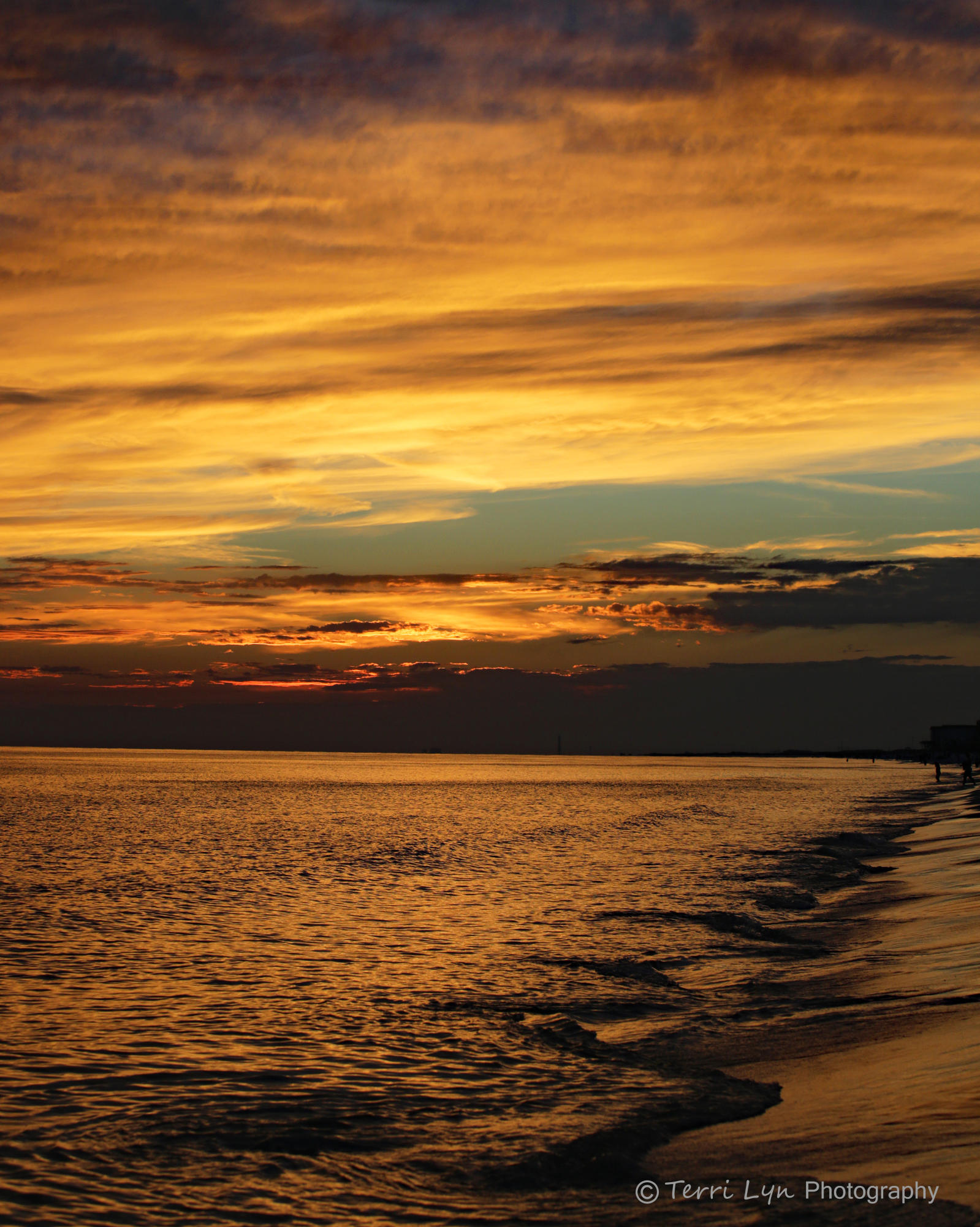 ISLAND PRINCESS - Residential