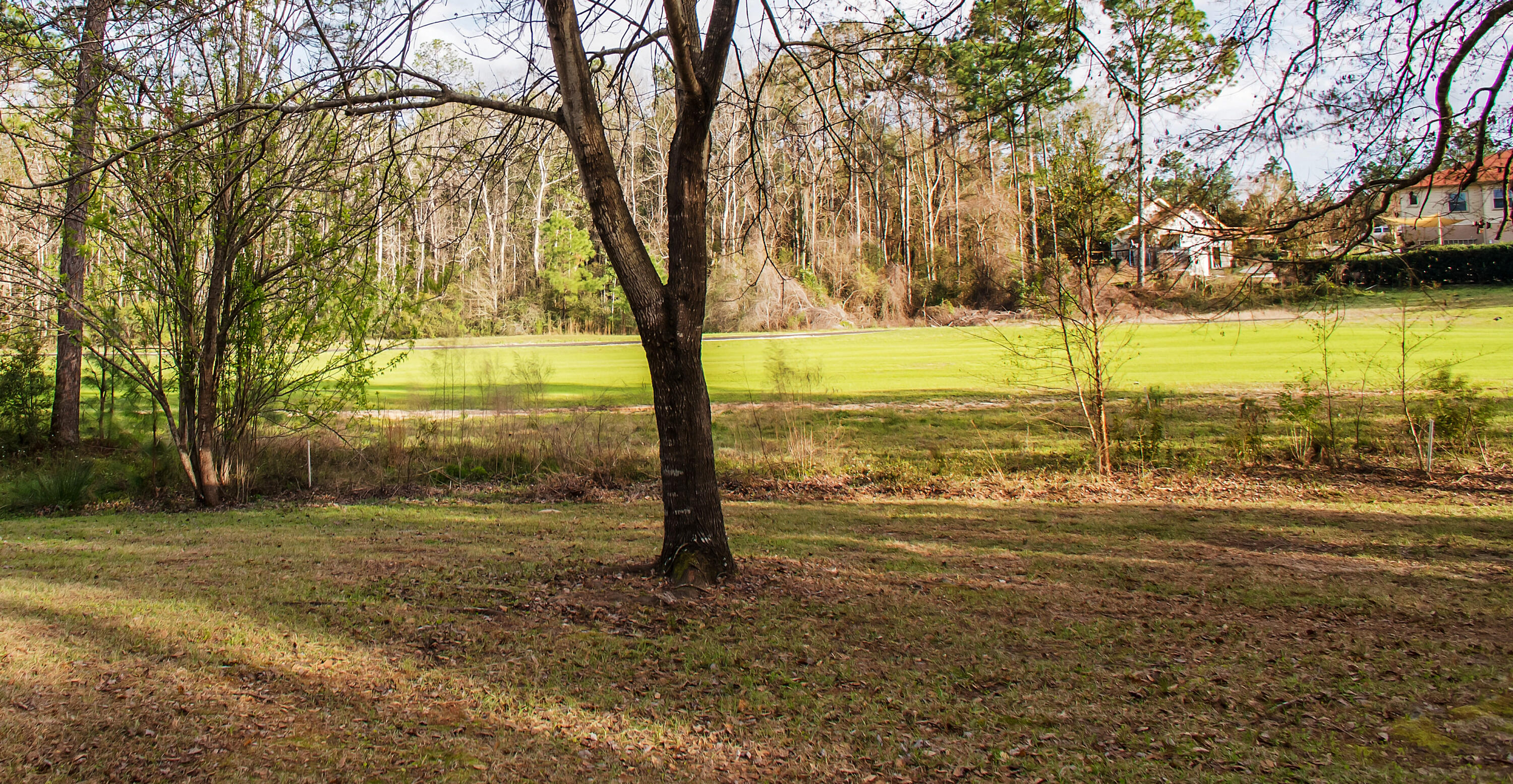 FOXWOOD ESTATES 2 - Residential