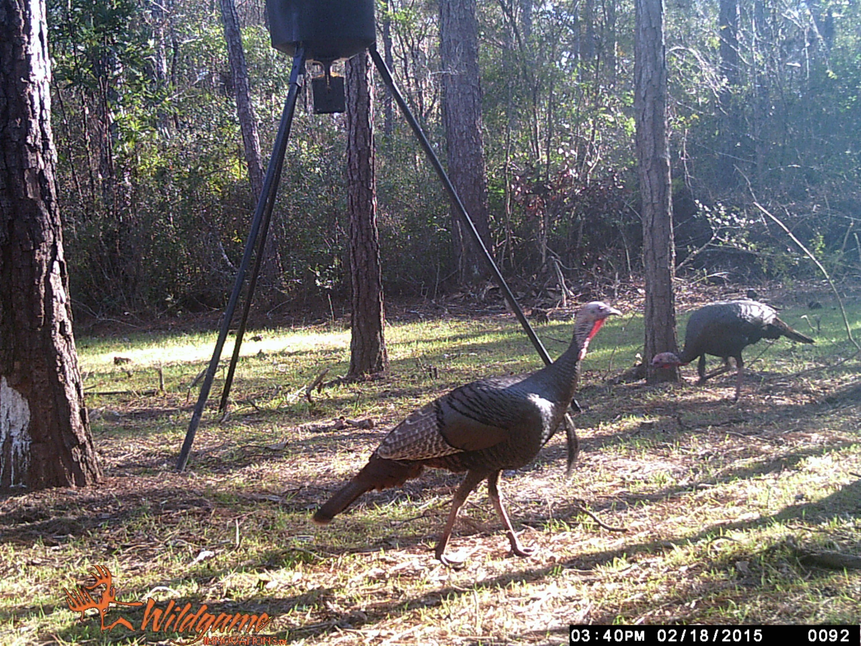 METES & BOUNDS - Farm