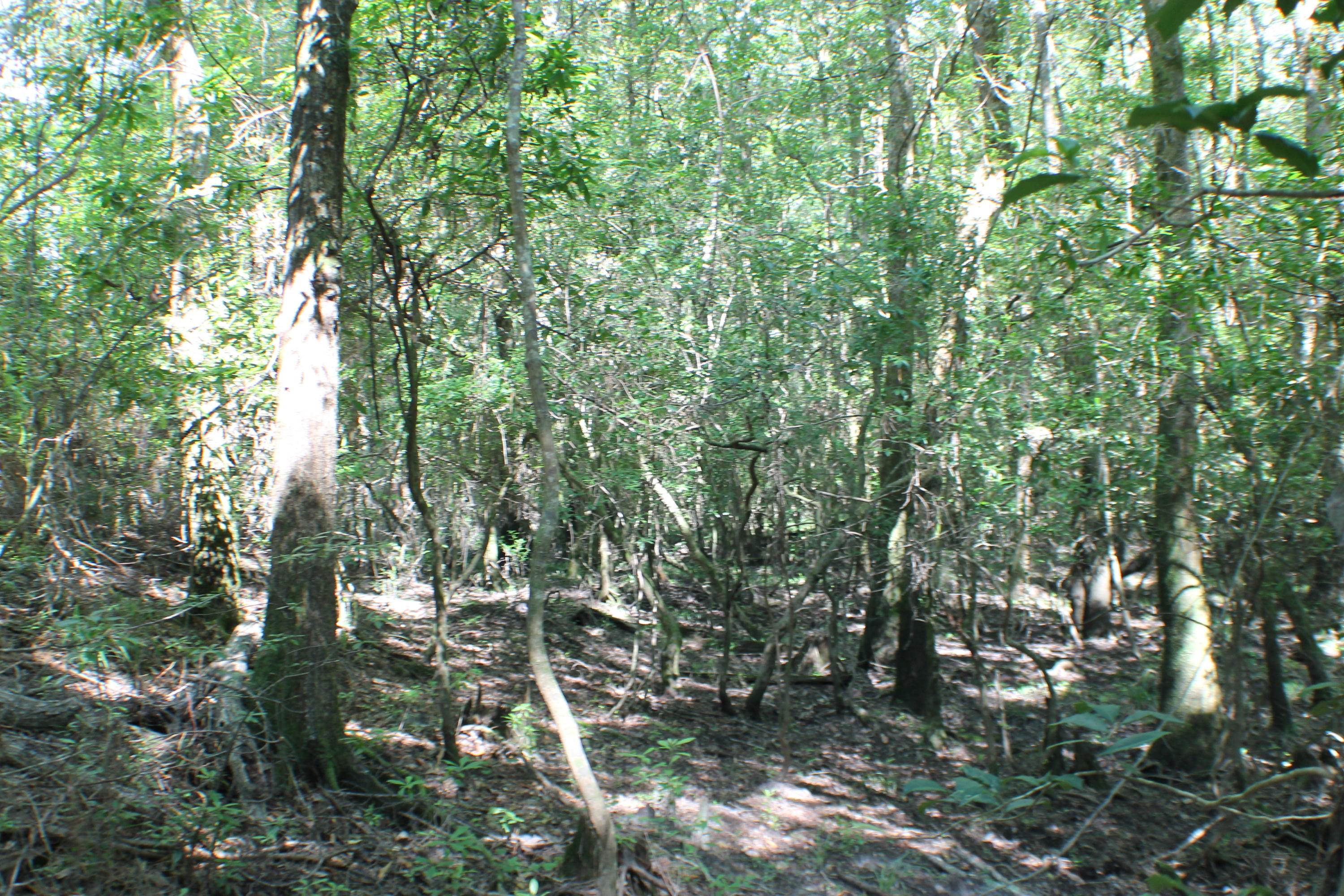 METES & BOUNDS - Farm