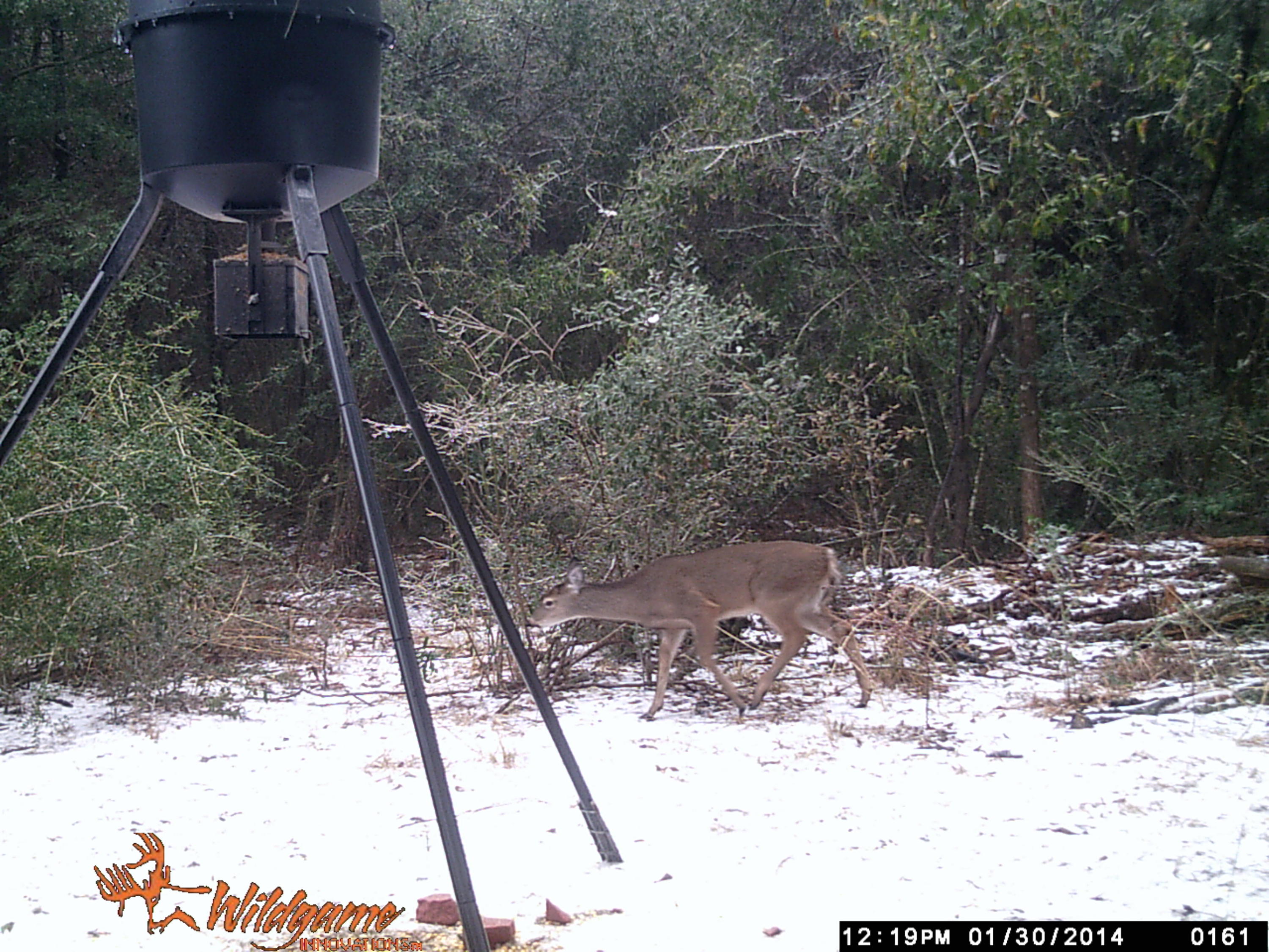 METES & BOUNDS - Farm