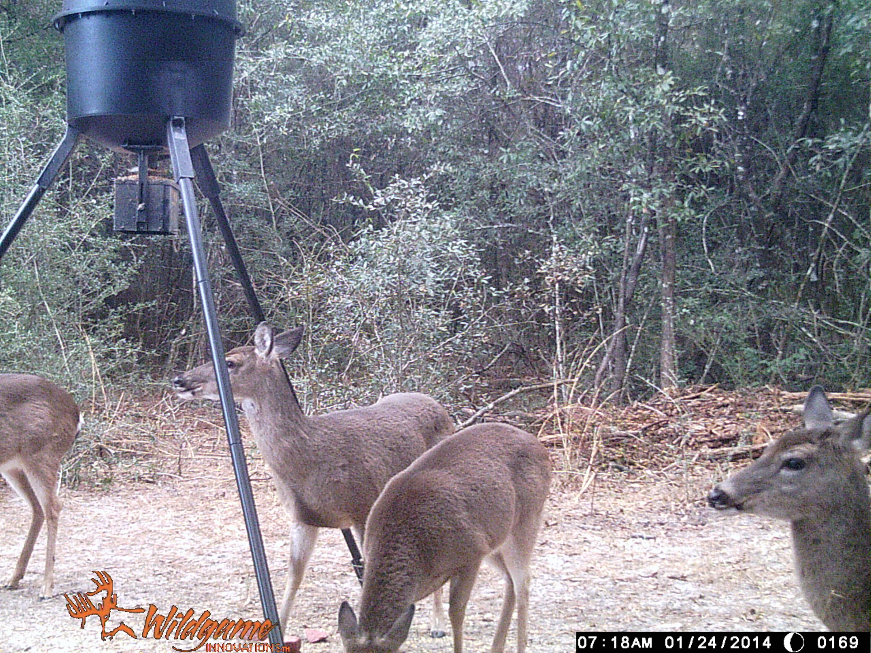 METES & BOUNDS - Farm