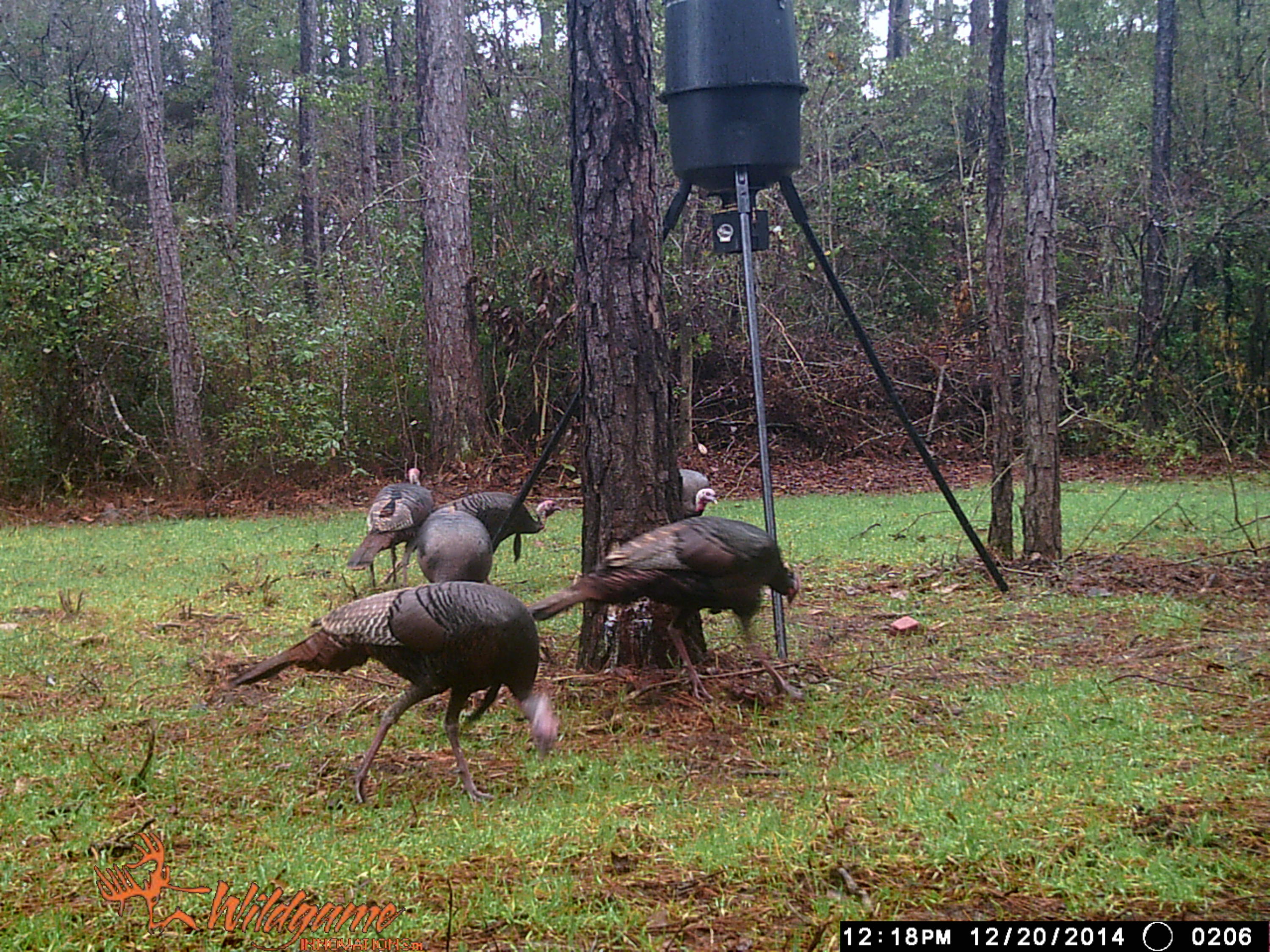 METES & BOUNDS - Farm