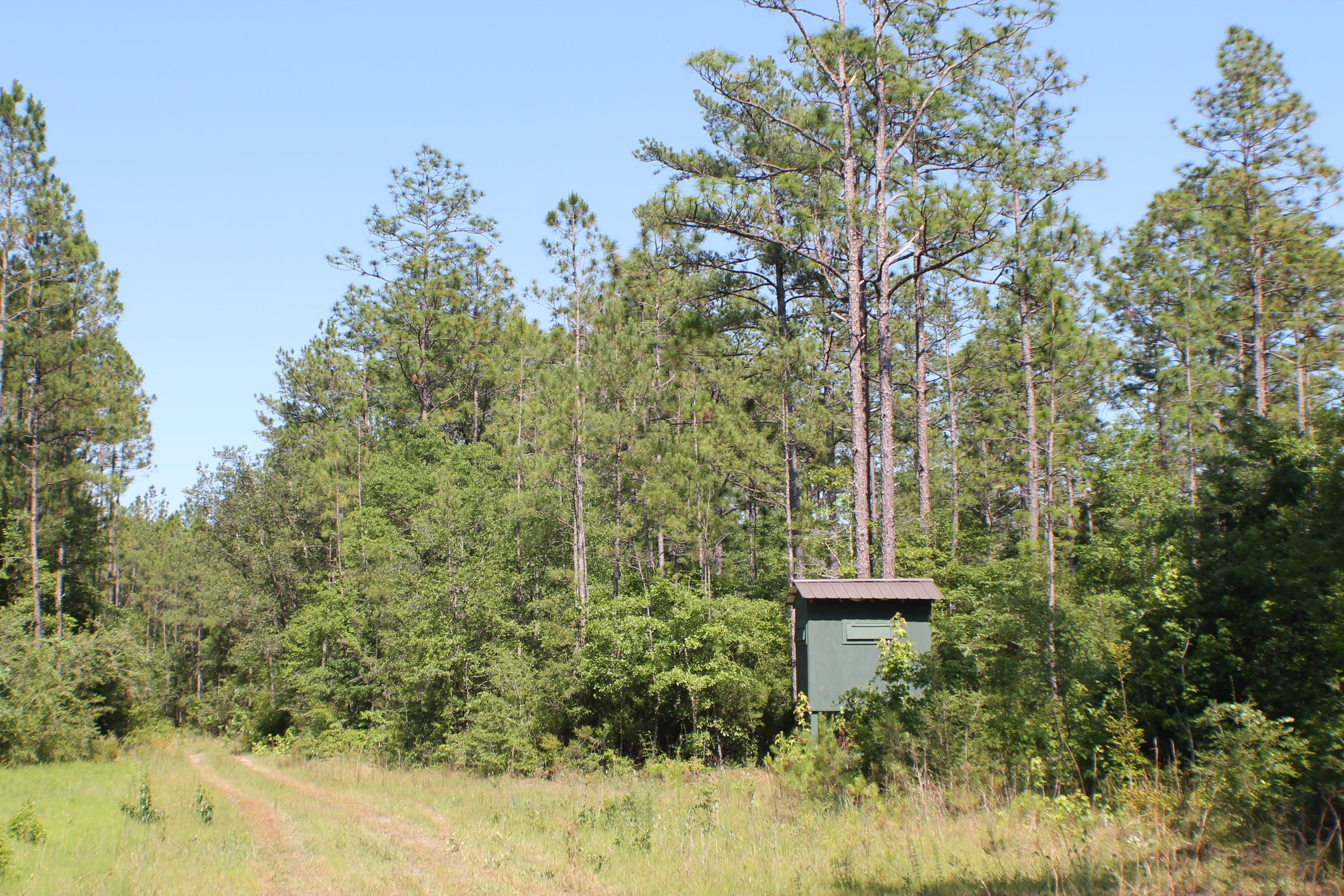 METES & BOUNDS - Farm