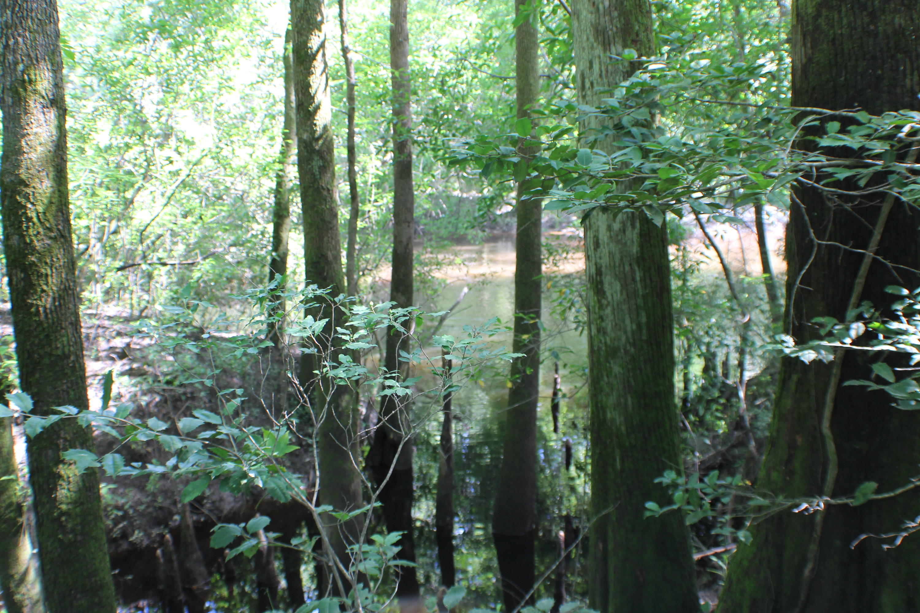 METES & BOUNDS - Farm