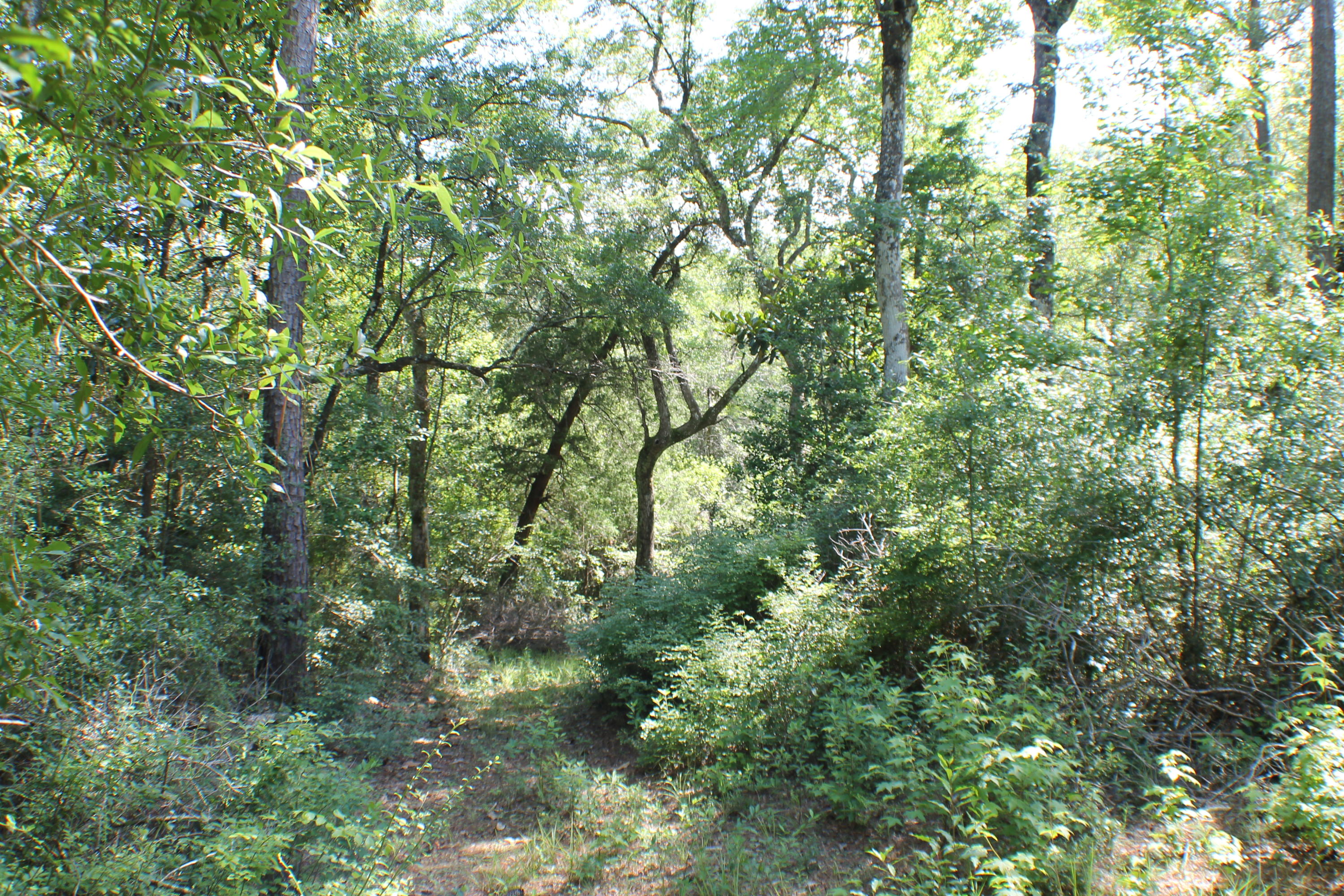 METES & BOUNDS - Farm