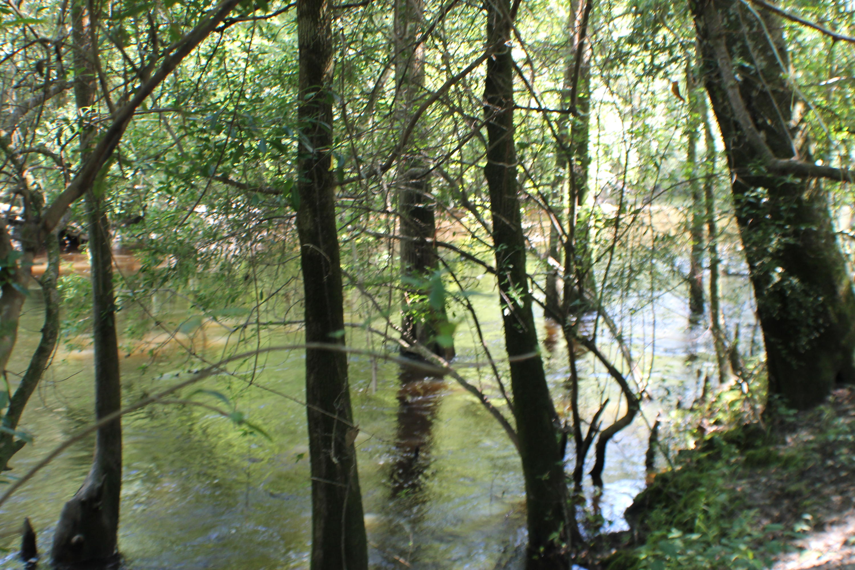 METES & BOUNDS - Farm