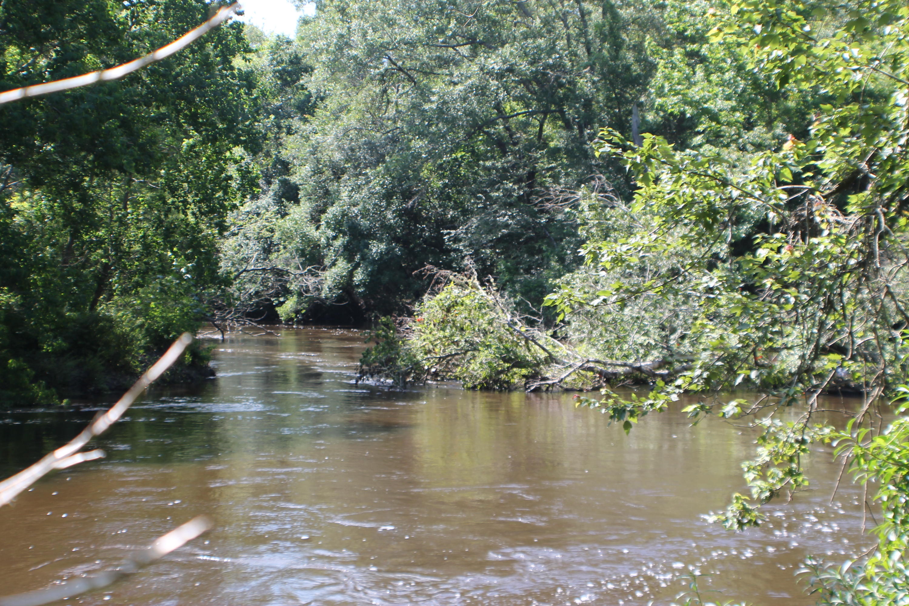 METES & BOUNDS - Farm