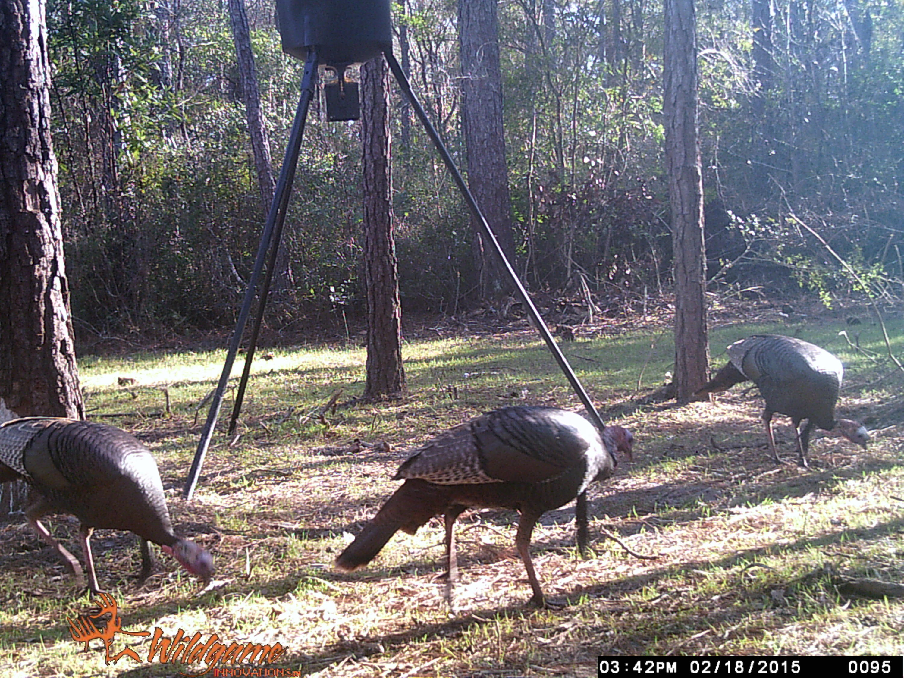 METES & BOUNDS - Farm