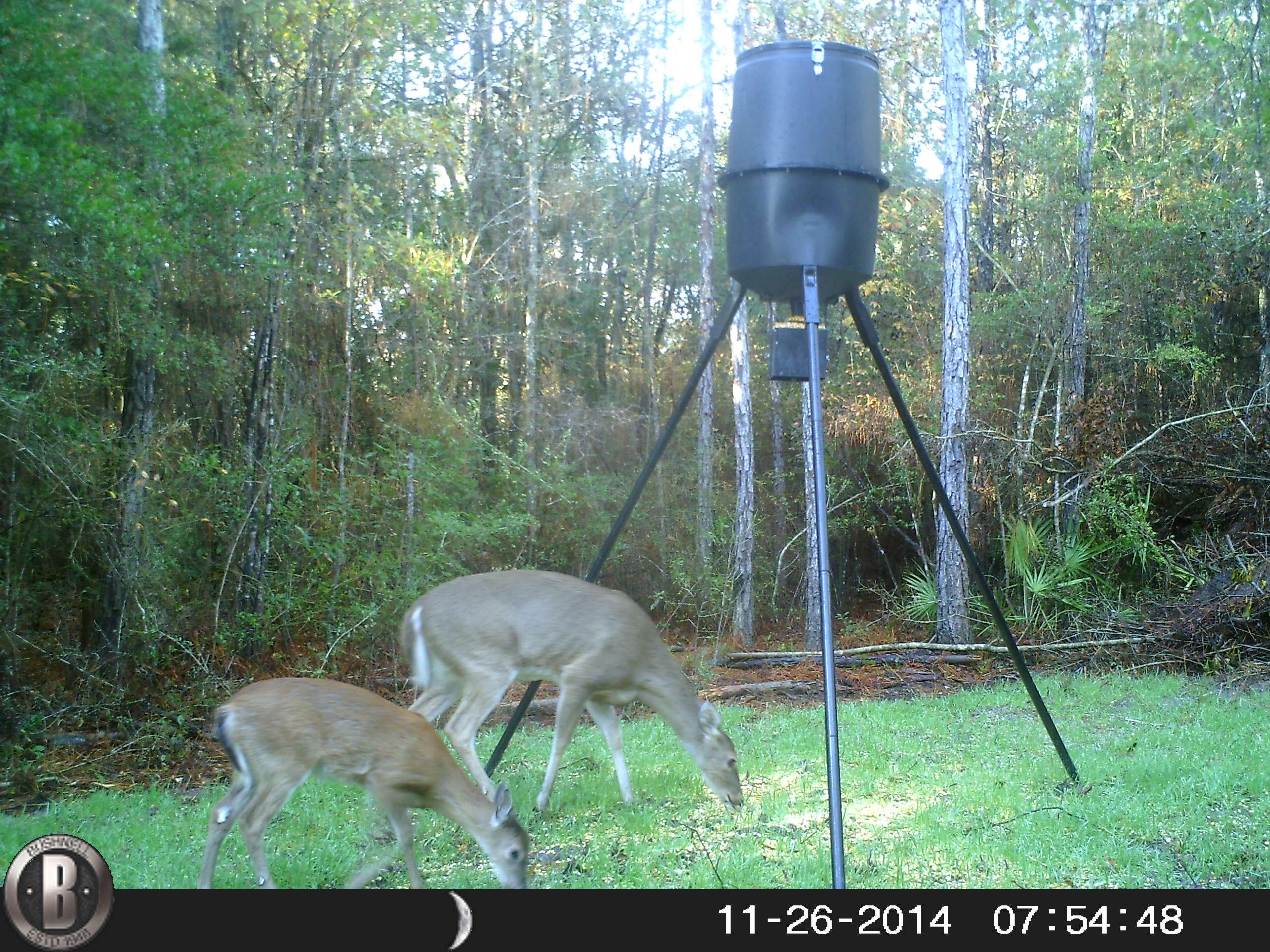 METES & BOUNDS - Farm