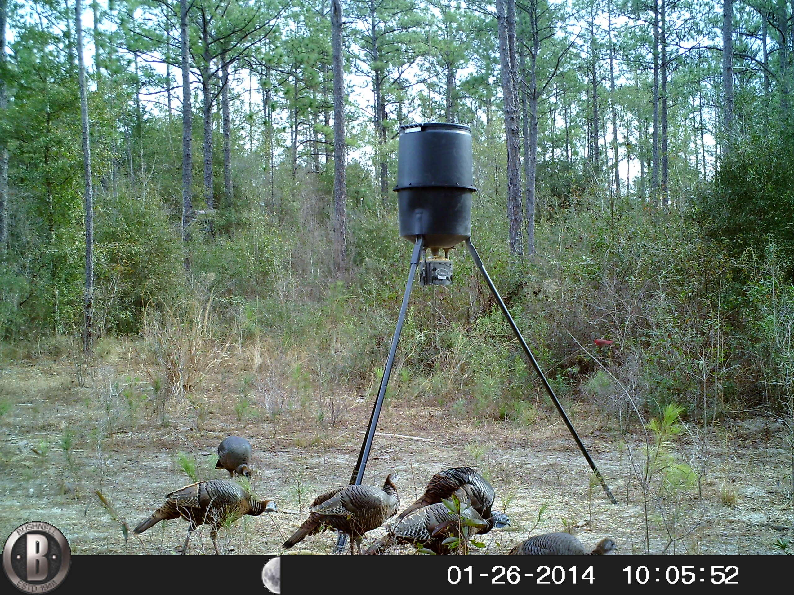 METES & BOUNDS - Farm