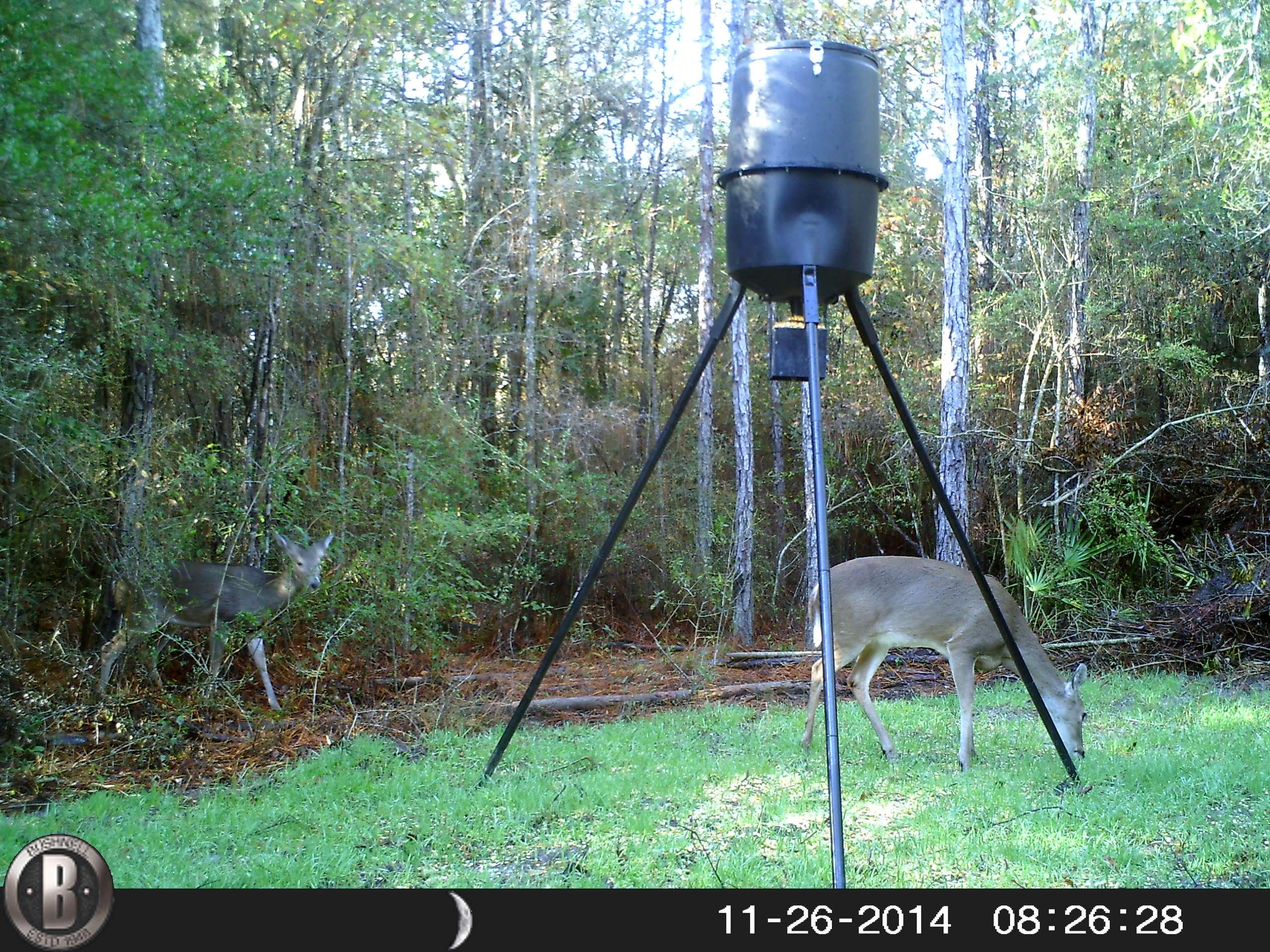 METES & BOUNDS - Farm