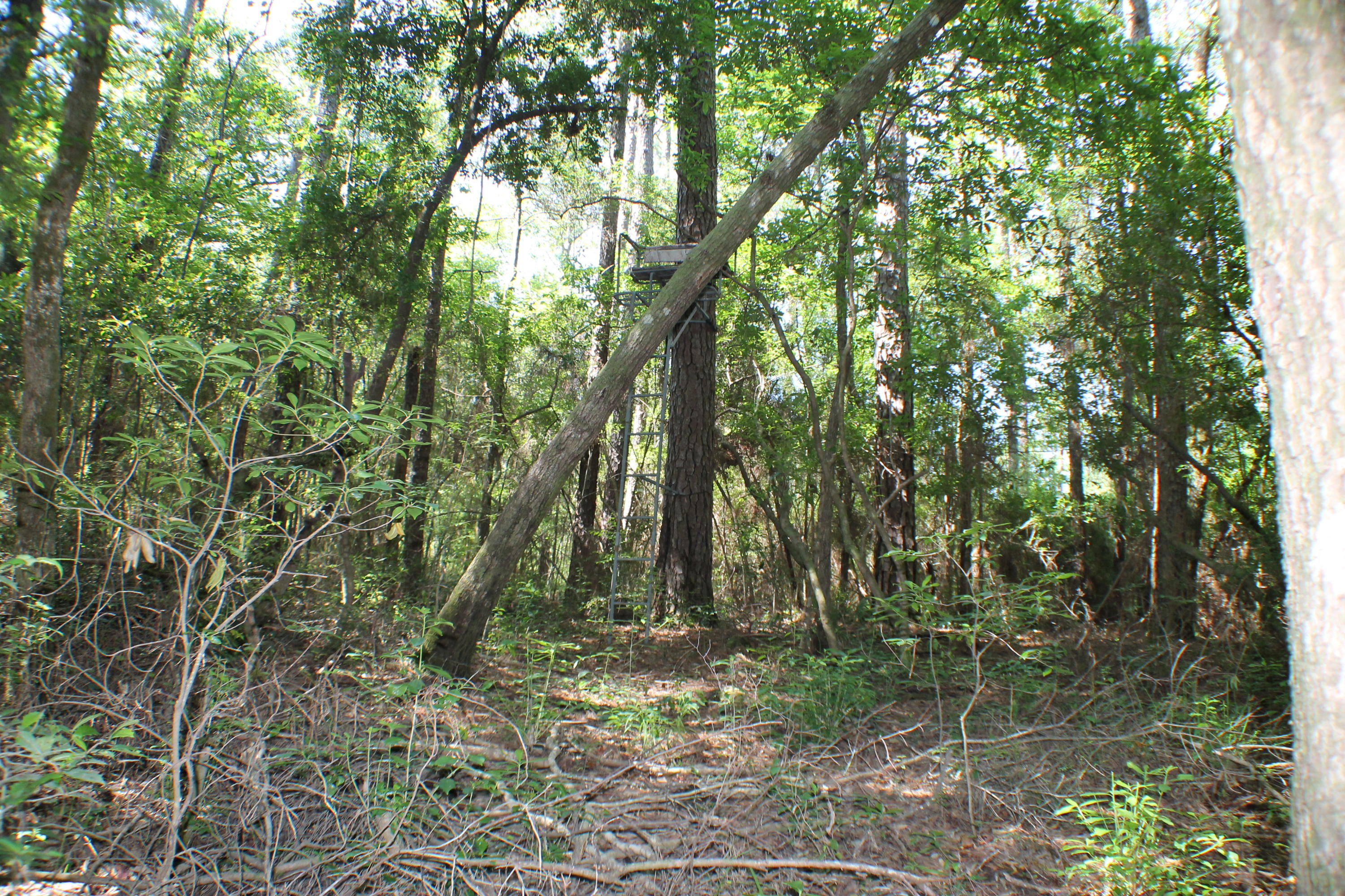 METES & BOUNDS - Farm