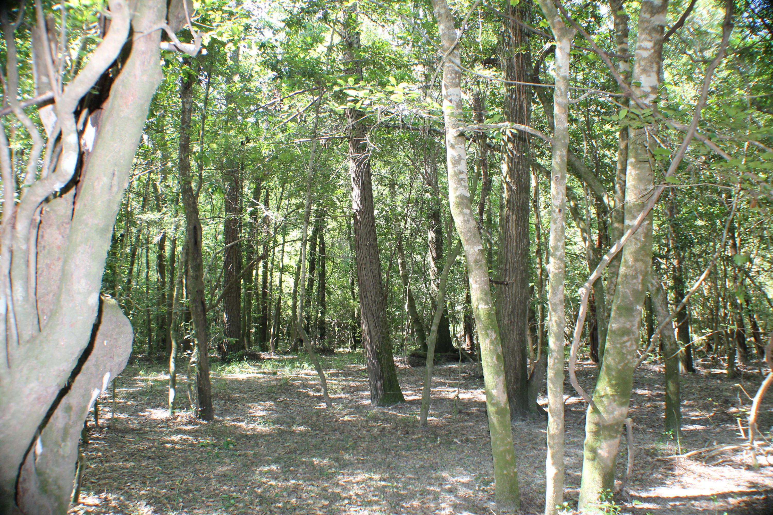 METES & BOUNDS - Farm