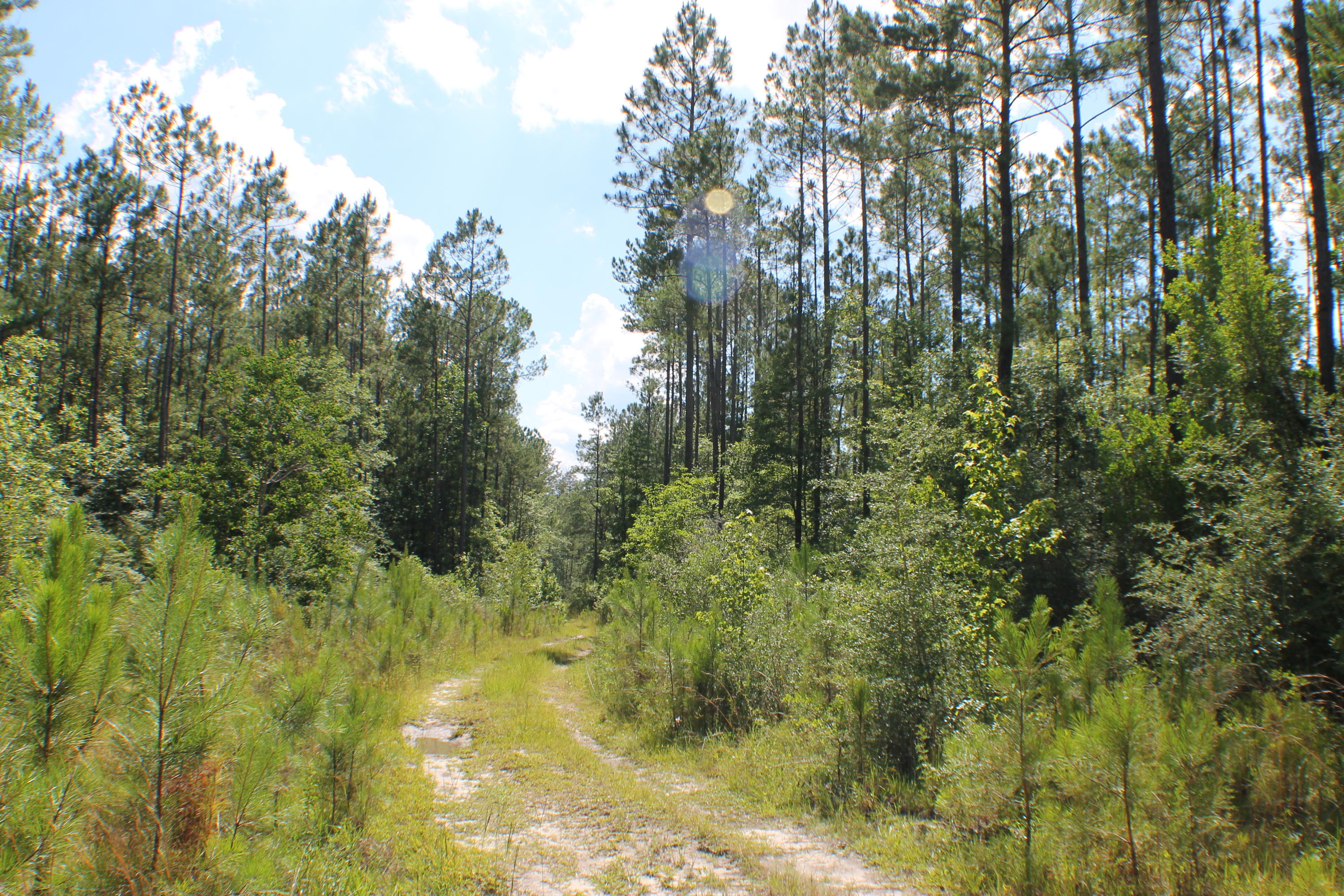 METES & BOUNDS - Farm