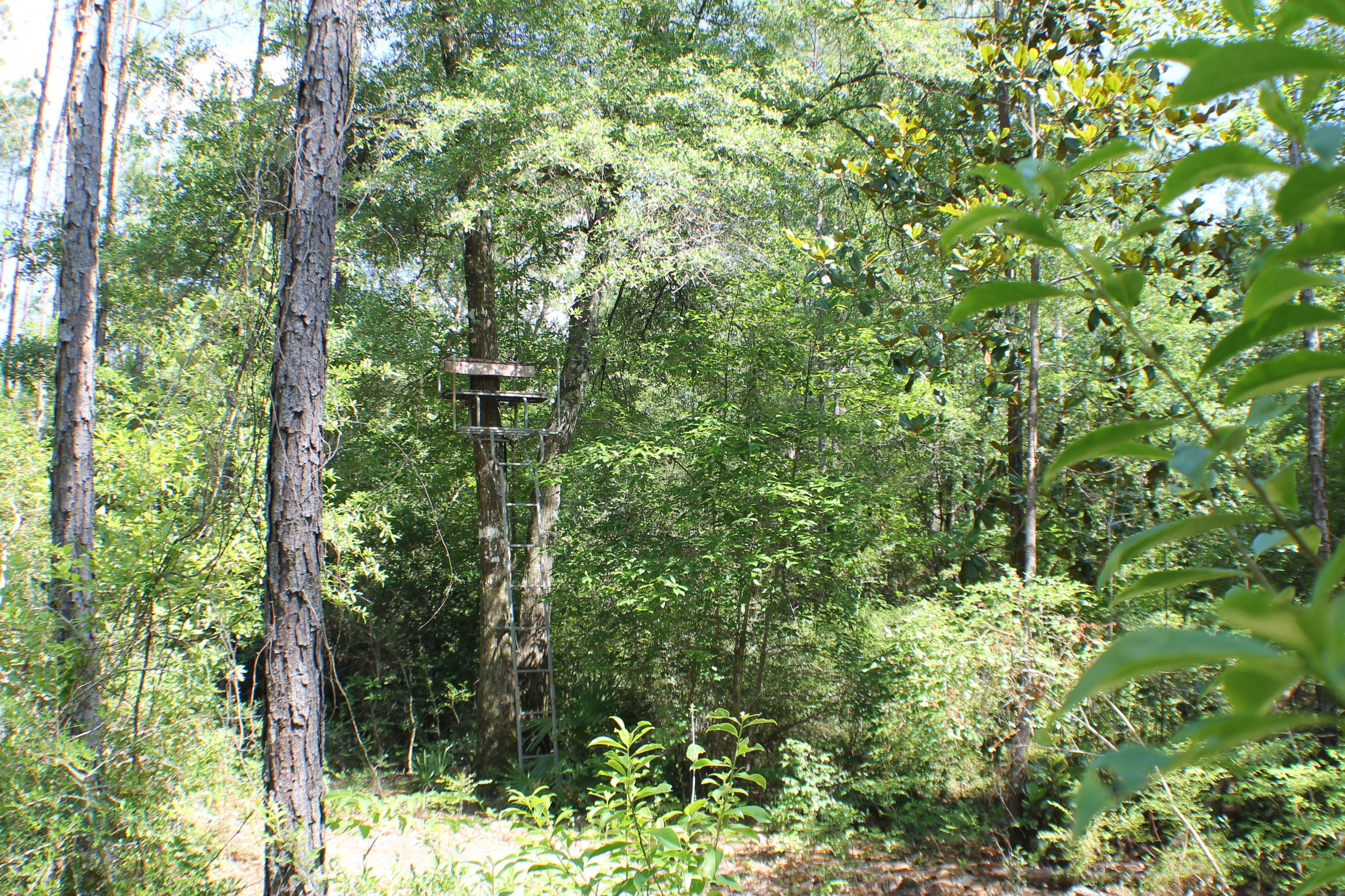 METES & BOUNDS - Farm