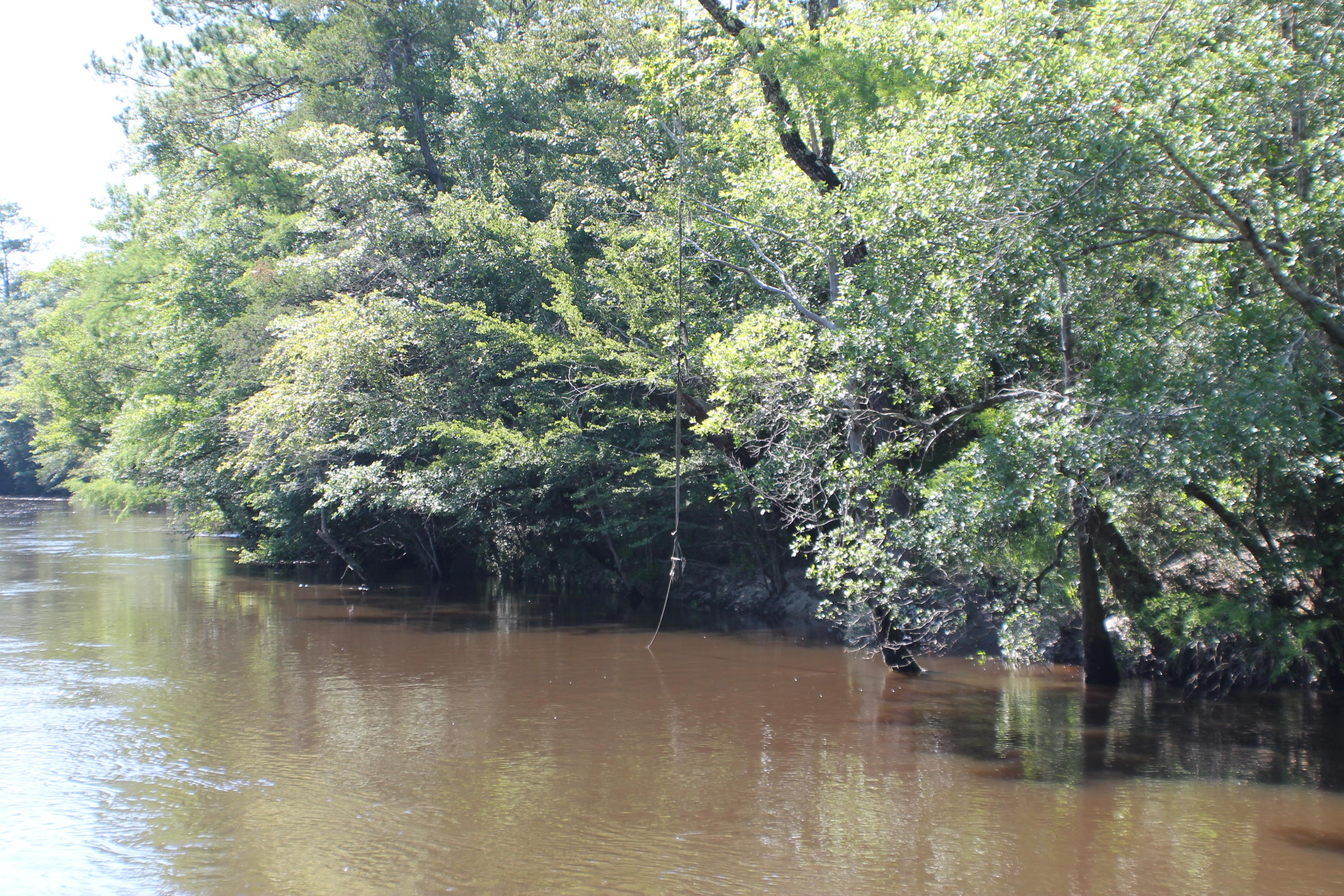 METES & BOUNDS - Farm