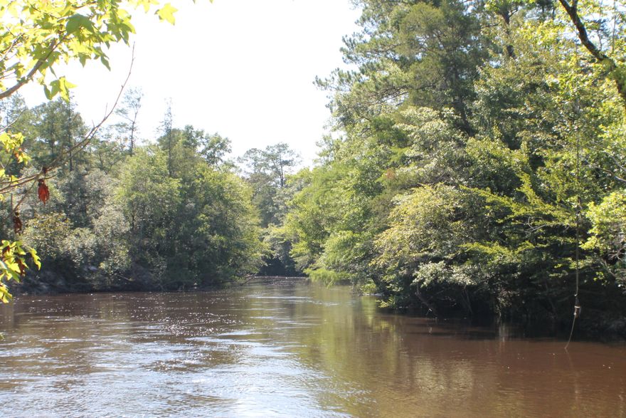 OFF THE GRID!! GREAT OPPORTUNITY FOR HUNTING/FISHING CAMP 35 acres located right on the river and perfect for recreational use Fishing and hunting! Watch the deer and listen for the turkeys.