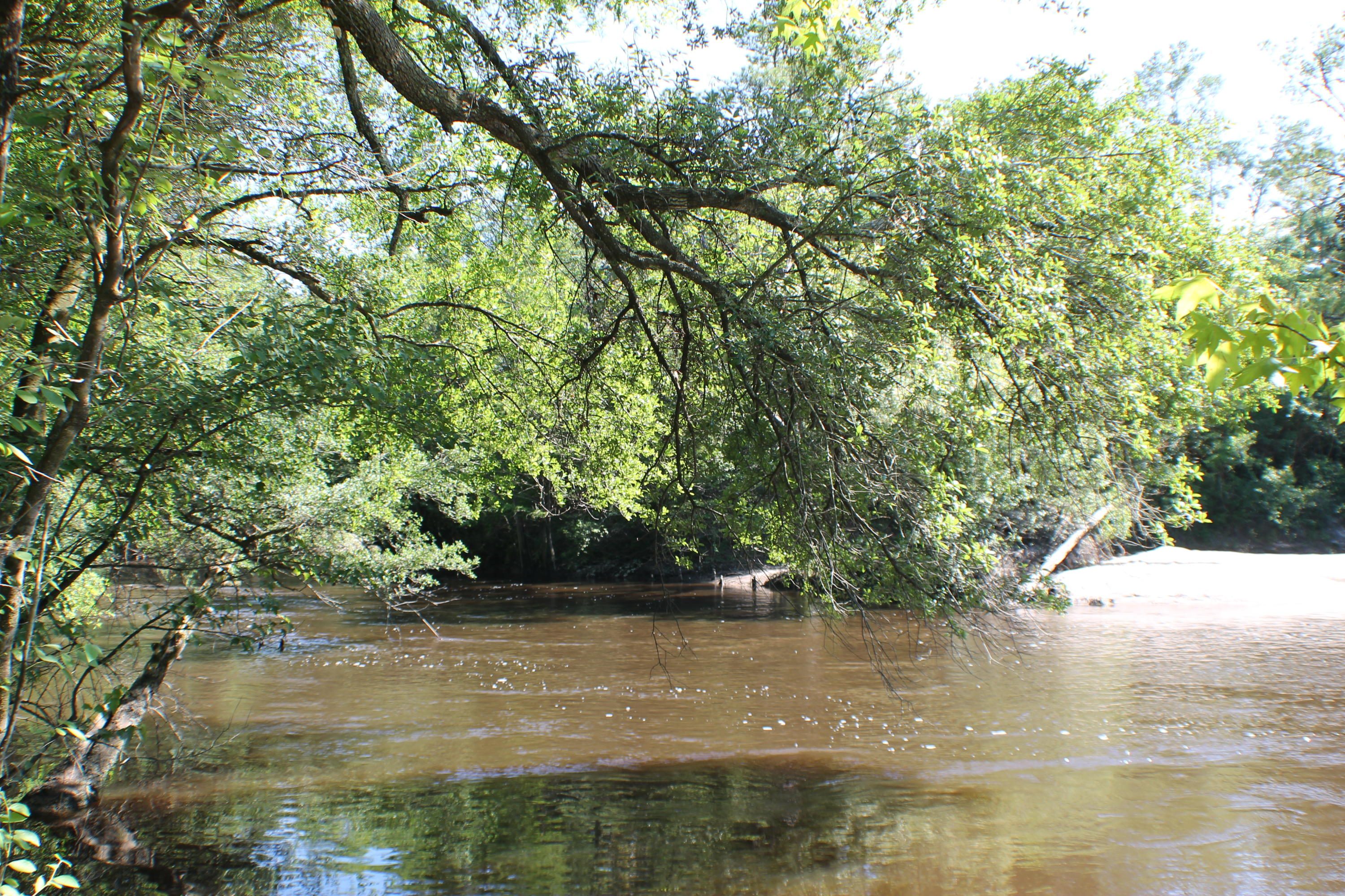 METES & BOUNDS - Farm