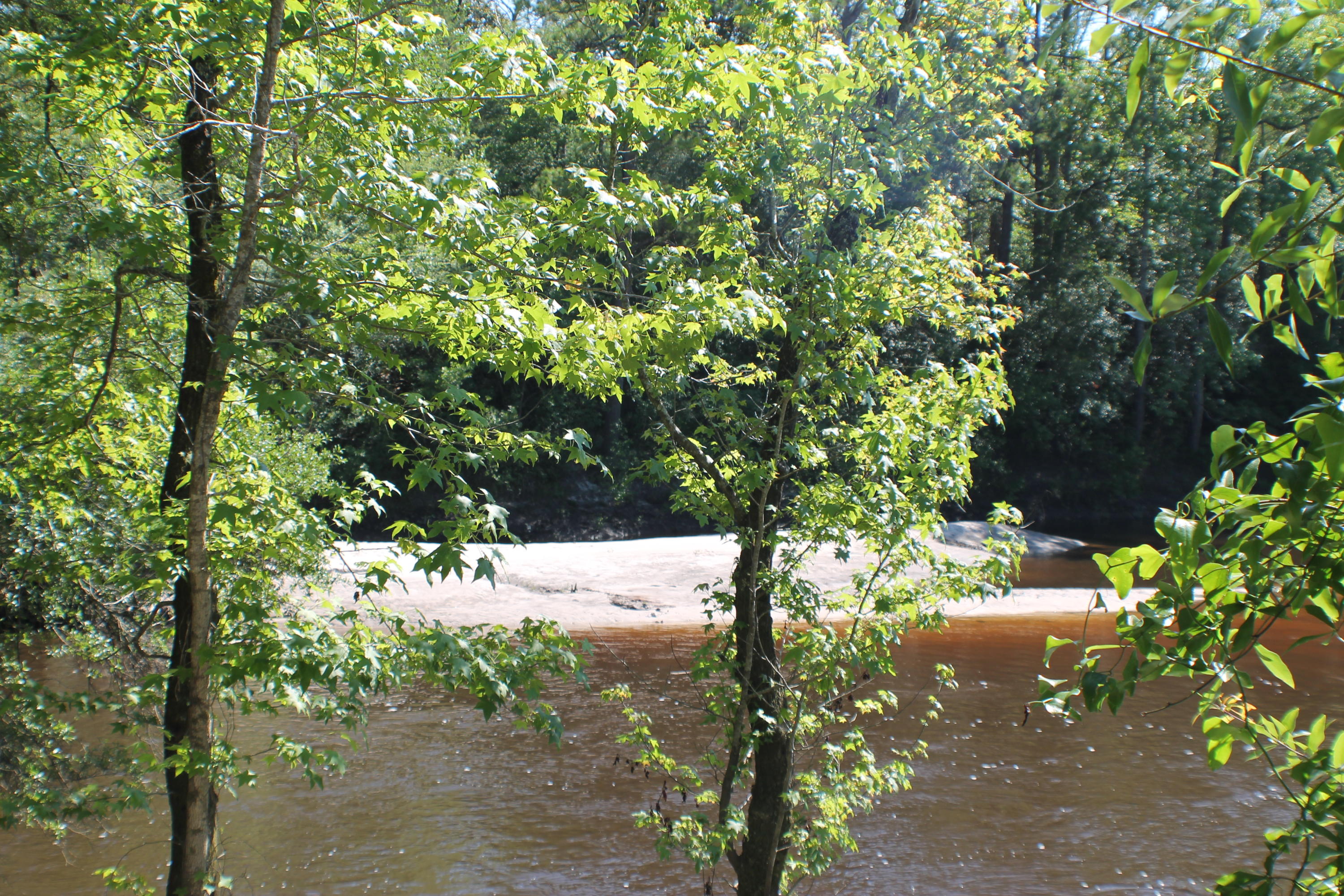 METES & BOUNDS - Farm