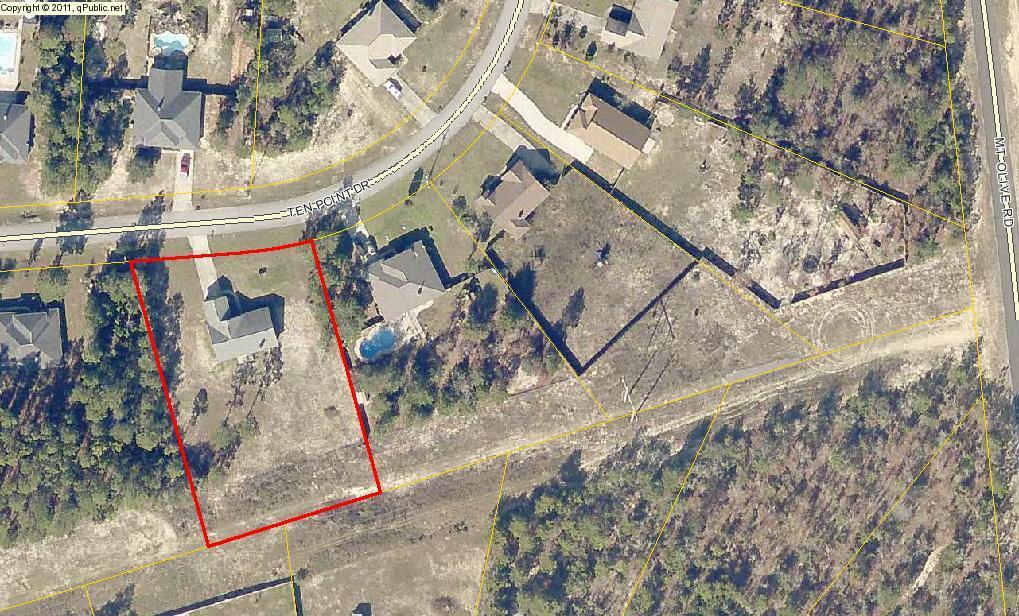 MT OLIVE ESTATES - Residential