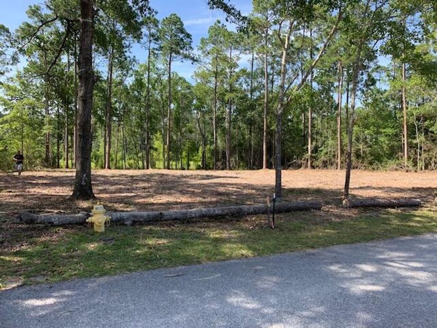 Large lot located conveniently to beaches of South Walton , Choctawhatchee Bay and Freeport . Lot is over .5 acres and has been cleared. A 15 foot public access to bayou is across street offering great access to water. Quiet neighborhood with NO HOA.