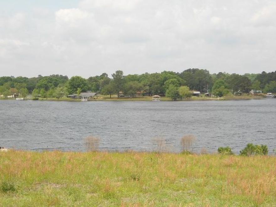 Beautiful Waterfront lot on Kings Lake! This small area is a testament to itself as far as clean and neat. There is a lot of pride in ownership in this cozy waterfront setting. City water is available. Lot is located on a paved street. Kings Lake is a 500+ acre fishing lake with prize winning bass, bream, and catfish and more! Click on documents to see survey and other information.