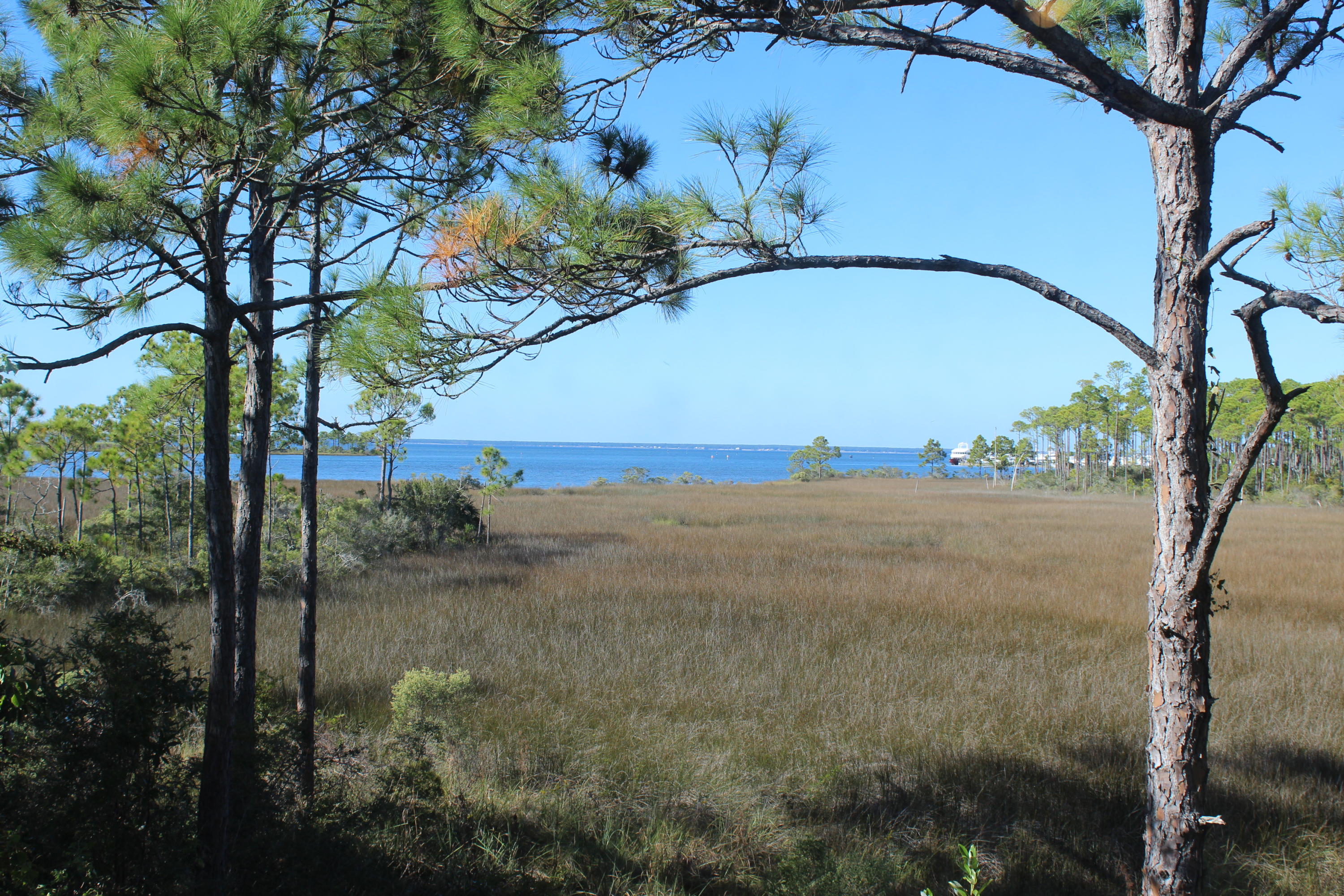 HERON WALK - Residential