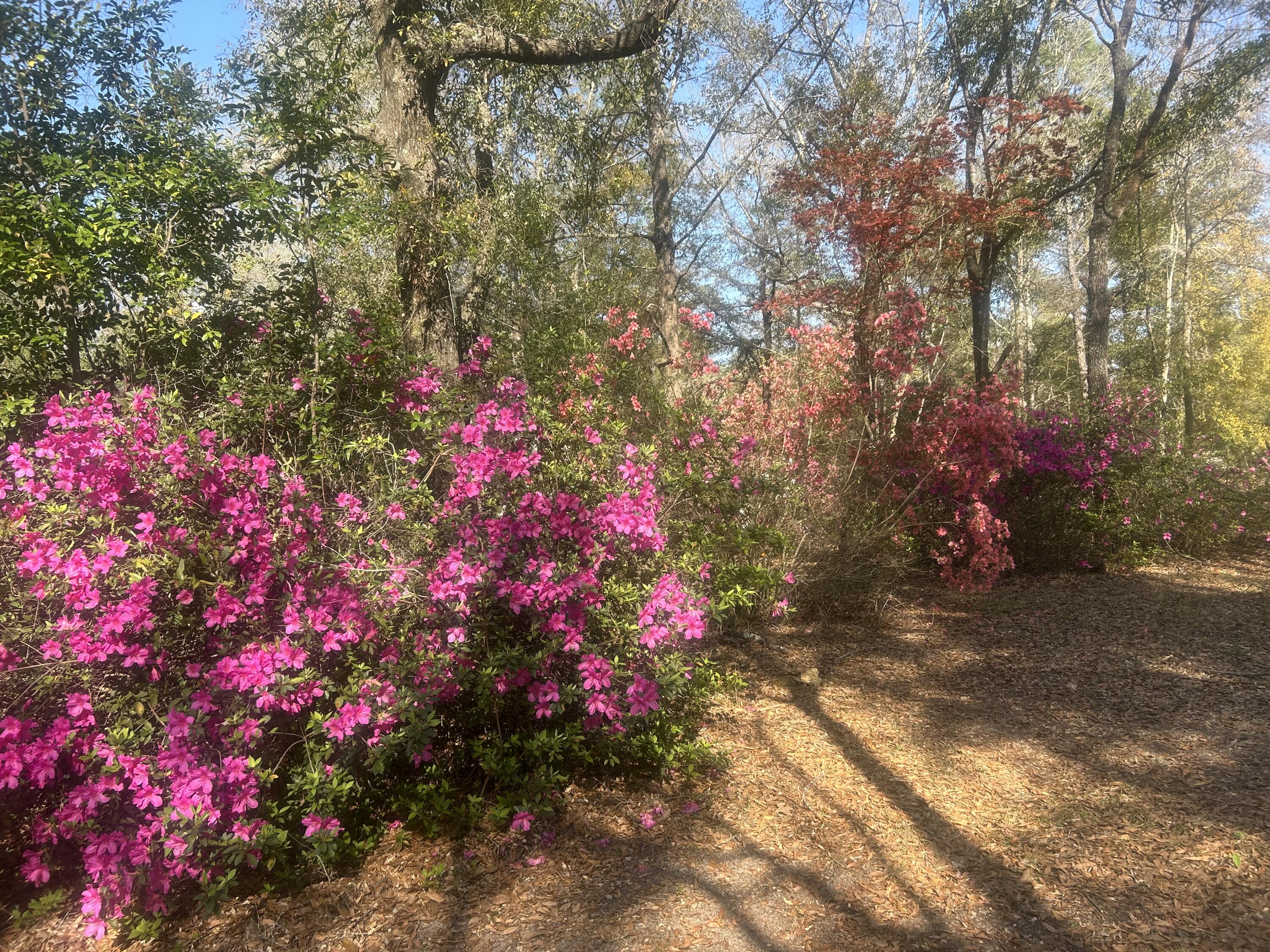 MILL CREEK ESTATES - Residential