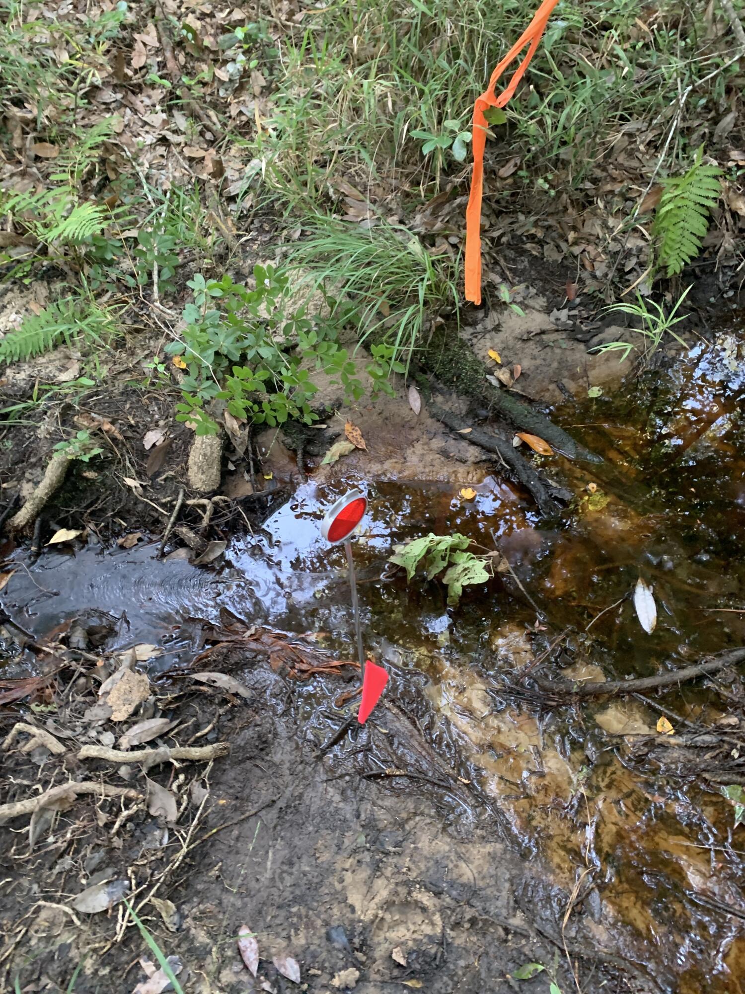 UNRECORDED SUBDIVISION - Land