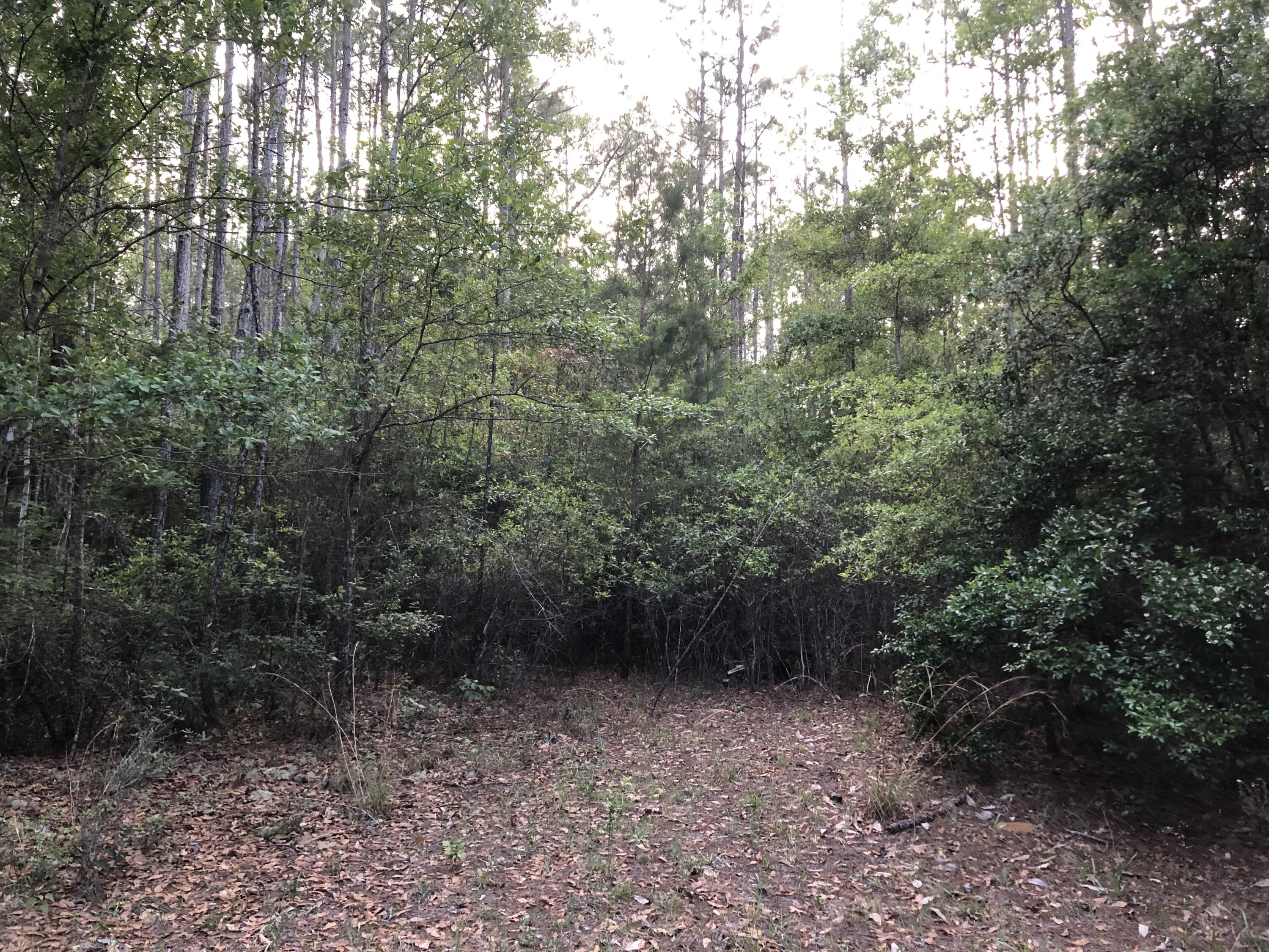 UNRECORDED SUBDIVISION - Land