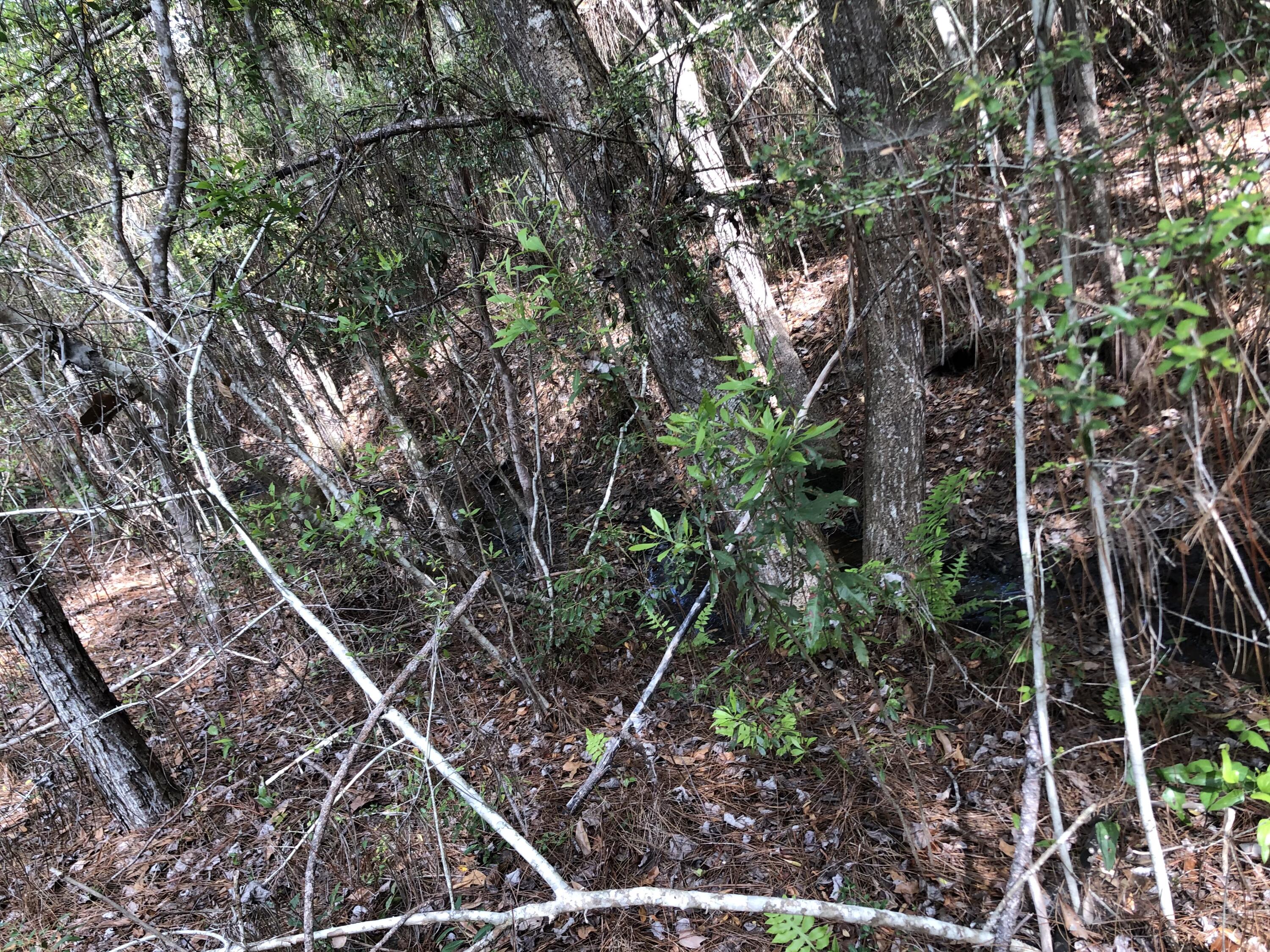 UNRECORDED SUBDIVISION - Land