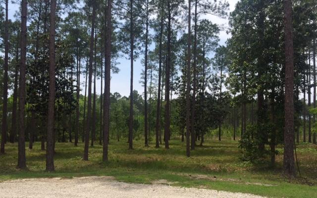 Rivercamps on Crooked Creek Ph 3 - Land