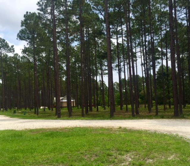 Rivercamps on Crooked Creek Ph 3 - Land