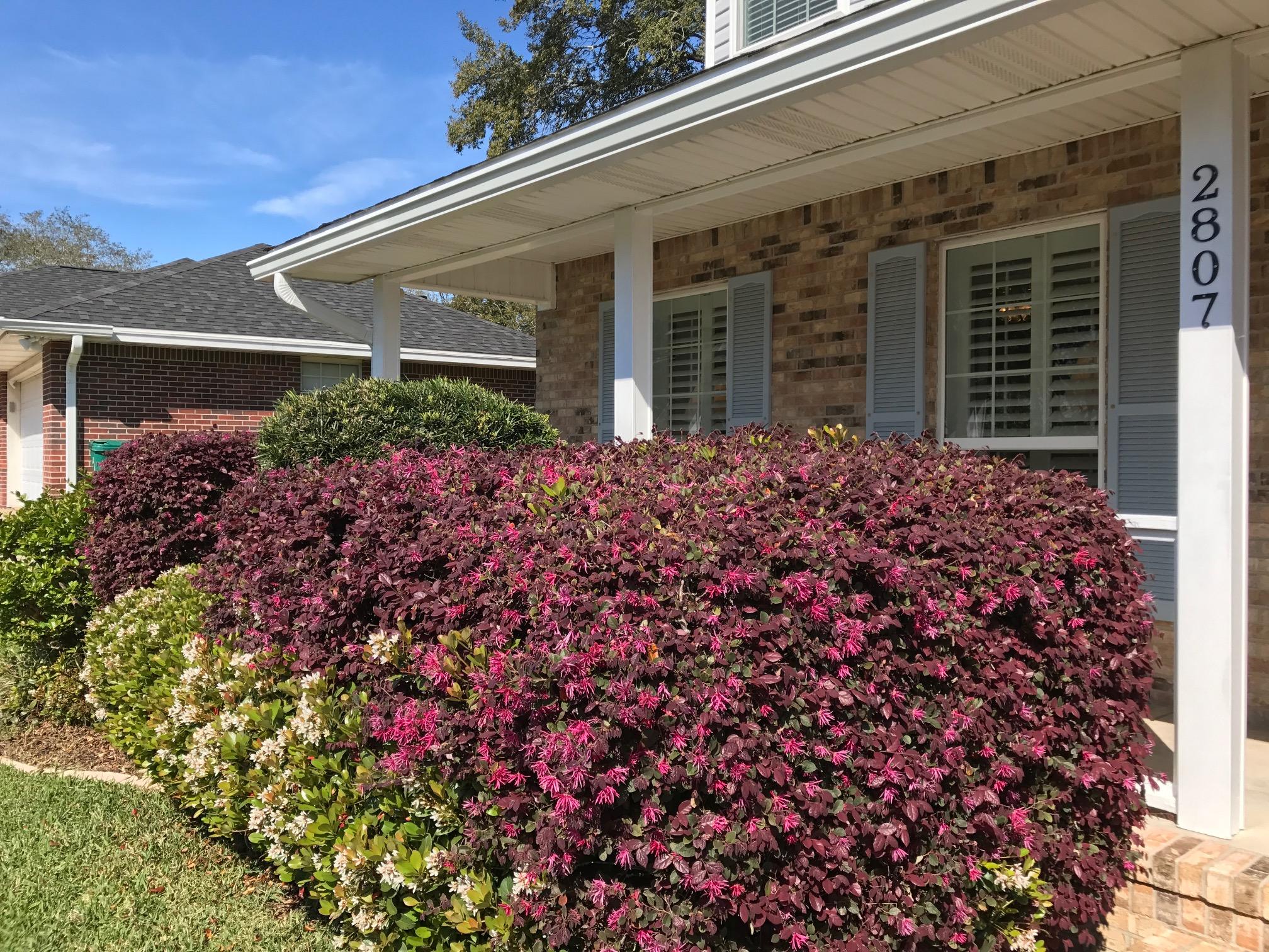 LAKE POINTE - Residential