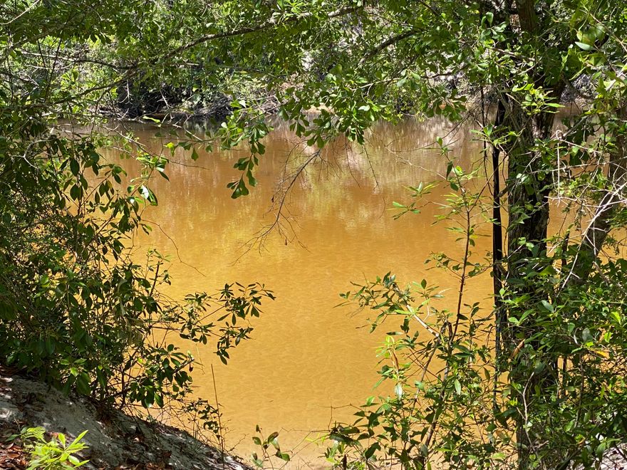 1 Acre!! White sandy beaches and tea colored water! Bring the John Boat, fishing poles and camp fire chairs! Near Crestview. Easement access.