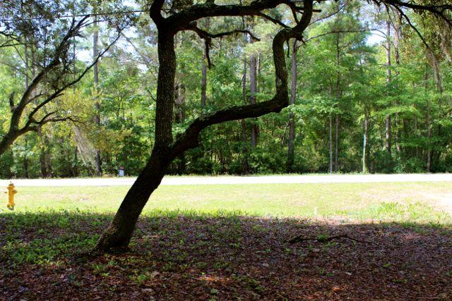 BAY GROVE/Mallet Bayou - Land